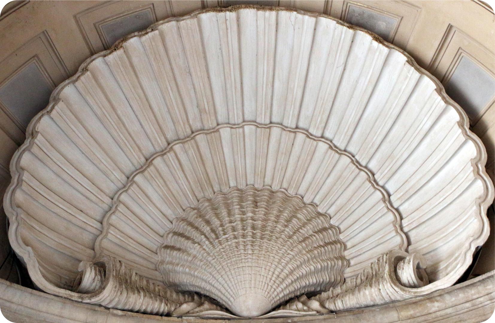 Una conchiglia all'interno dei portici dei cortili della Reggia di Caserta. La Reggia progettata da Luigi Vanvitelli fu realizzata dal 1752 al 1845.