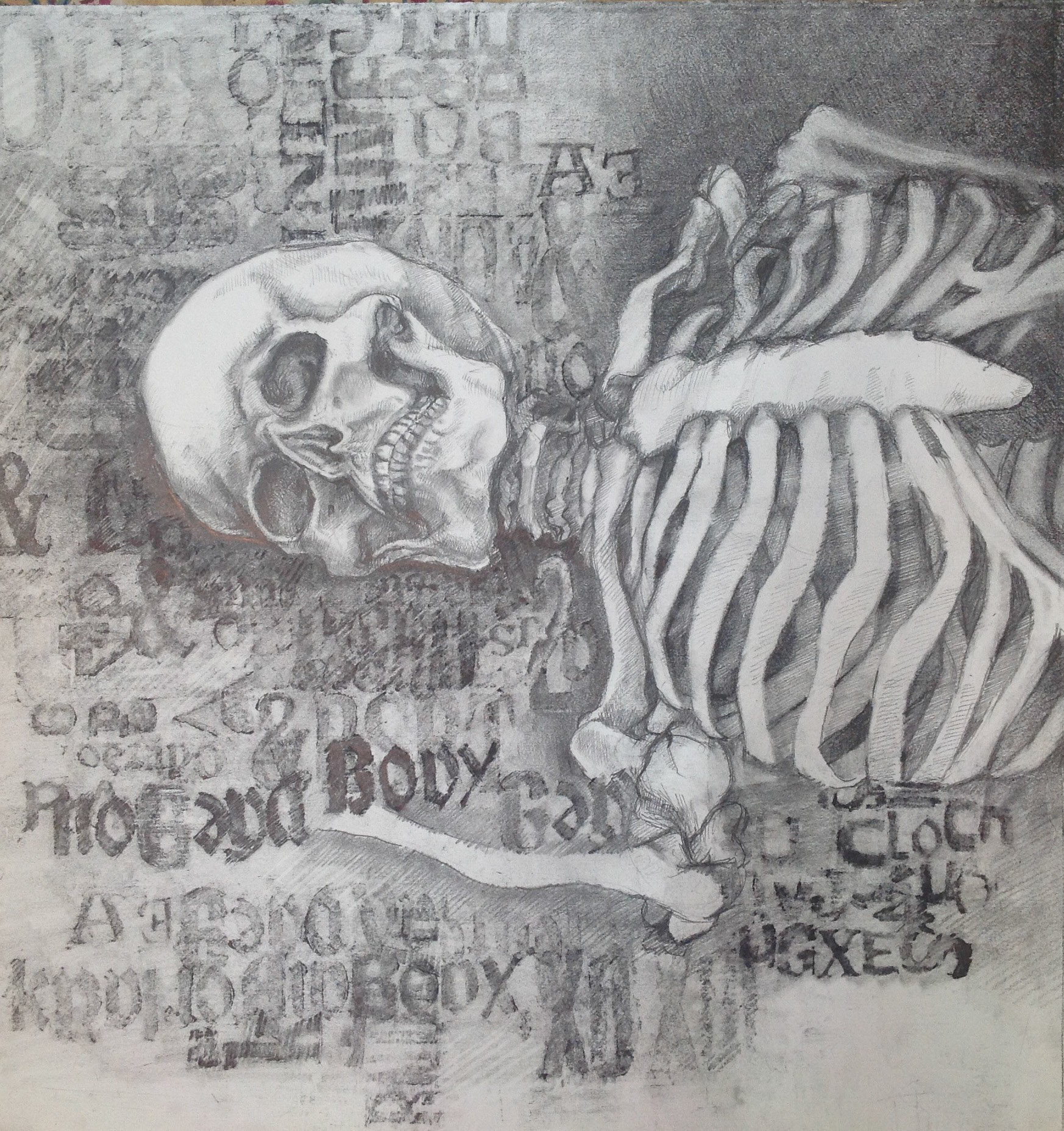 Bone study compilage