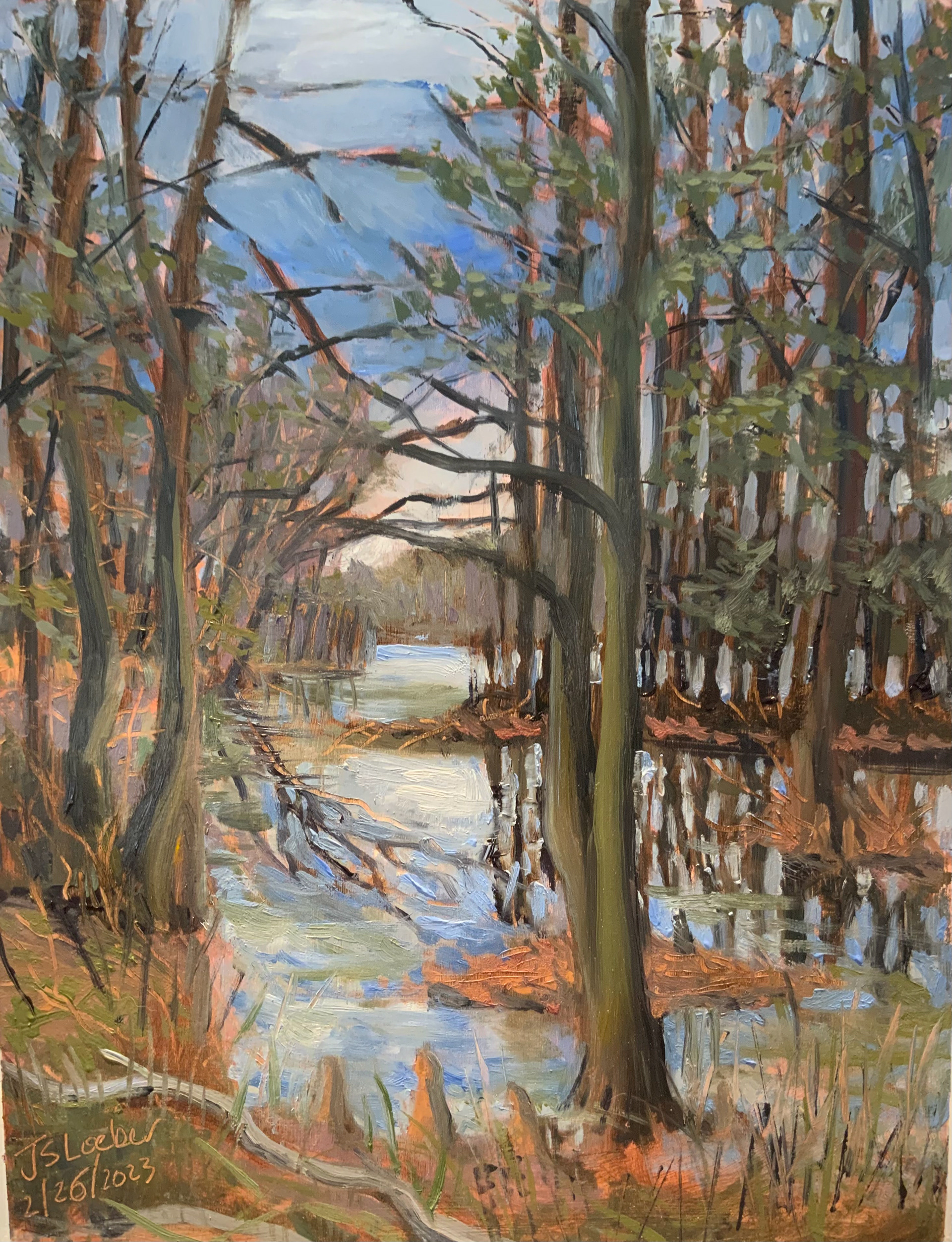 Trappe Pond State Park Study