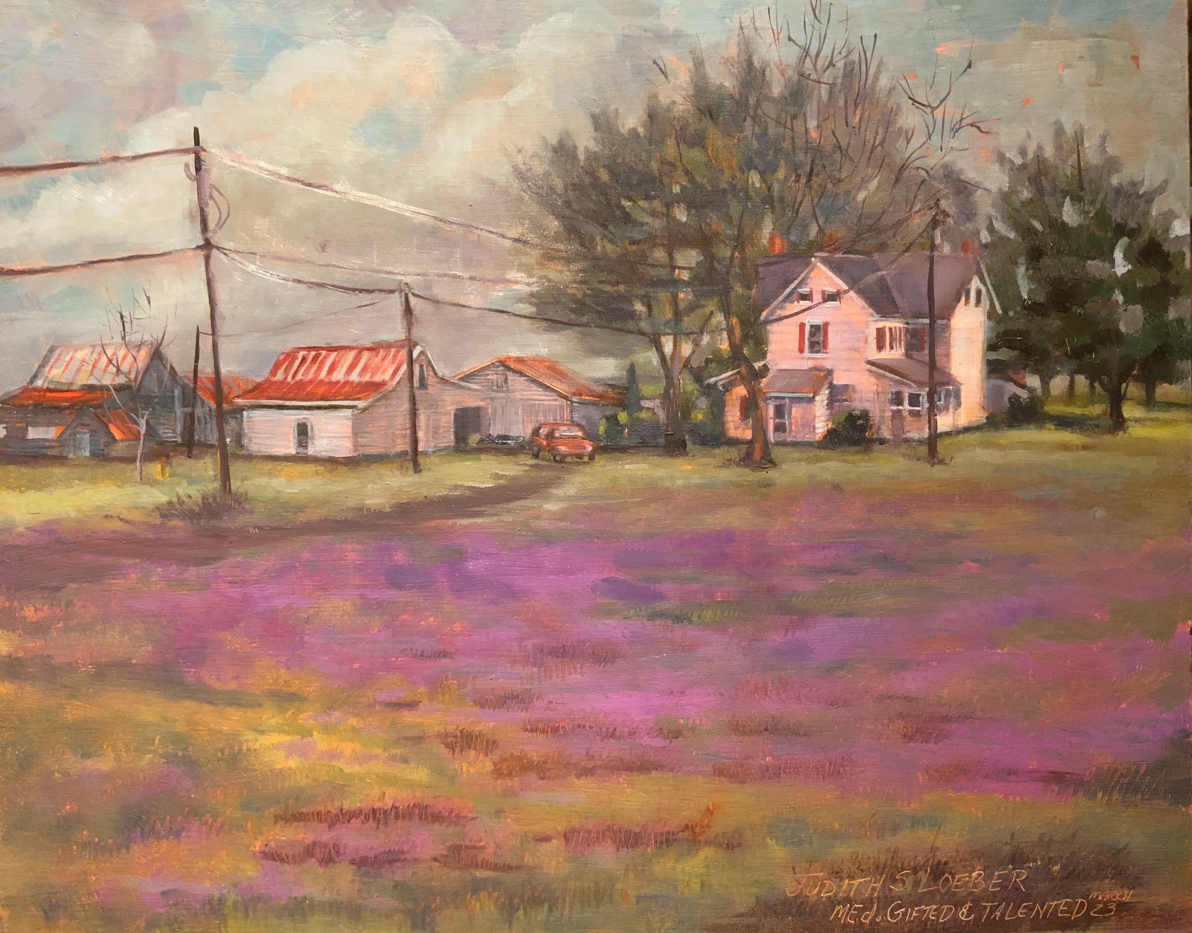 The Henbit Field at The Farm on Radish Road, Millsboro 4/23