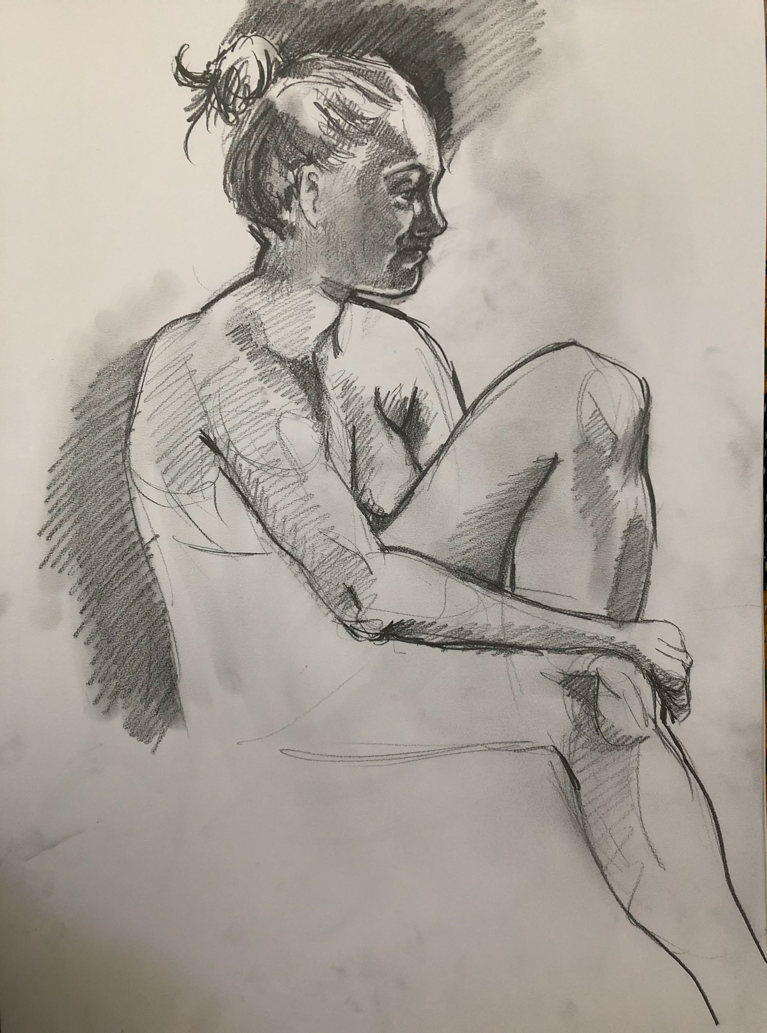 Dakota Arts Model