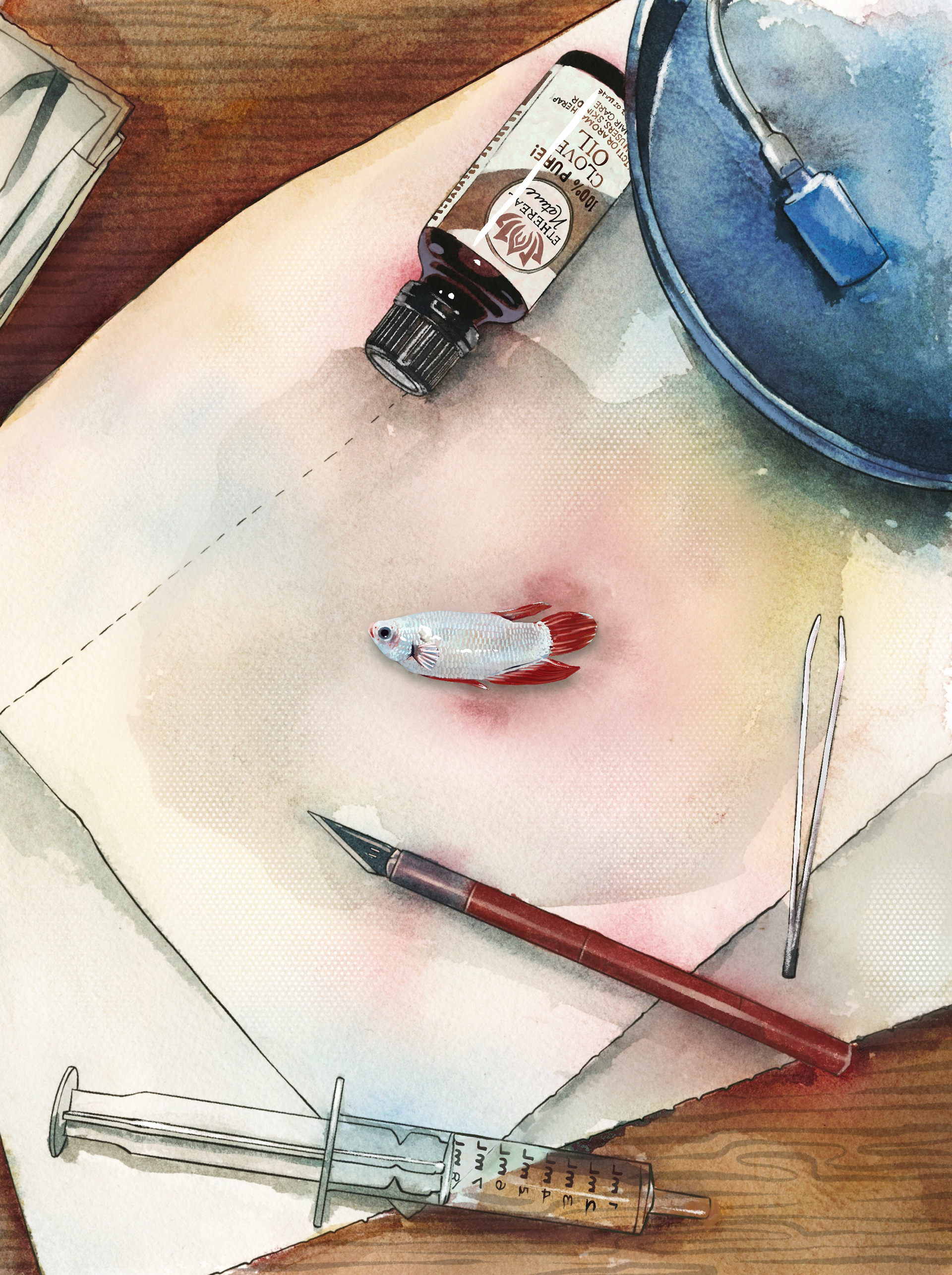 Details Added Digitally