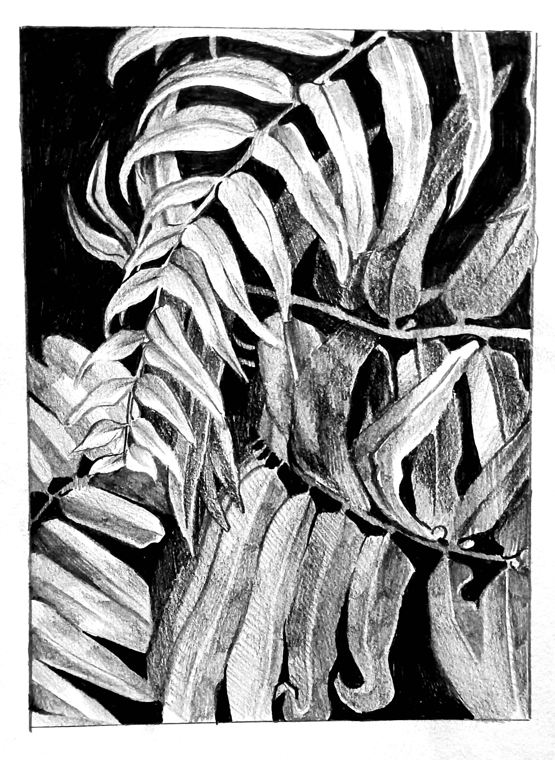 Charcoal (2021)