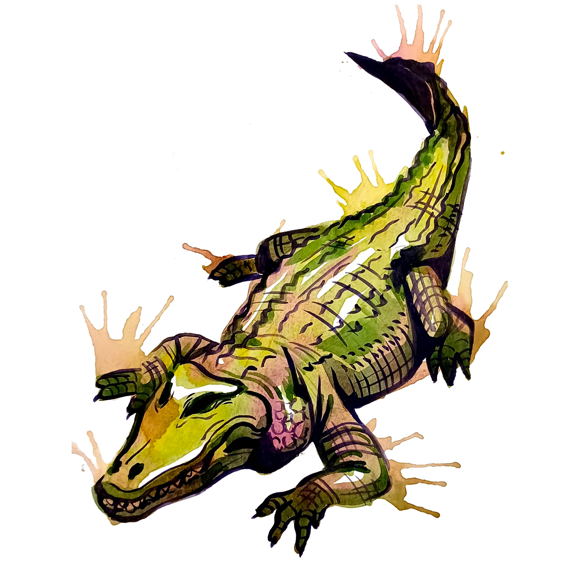 Alligator (2022) Watercolor