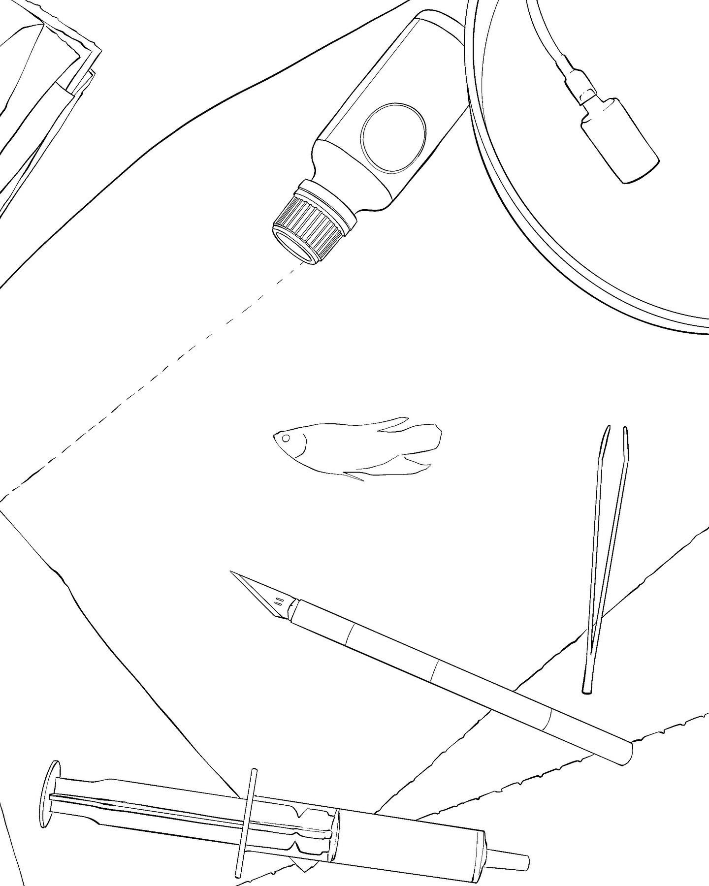 Outline