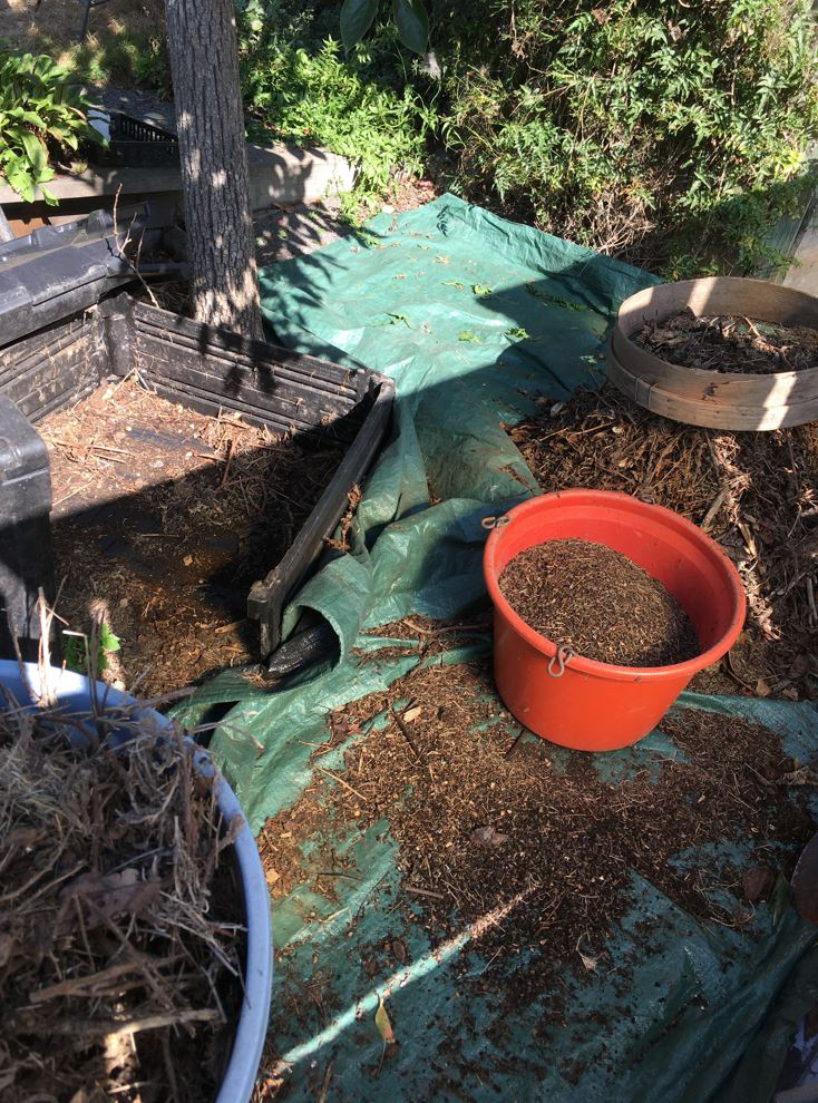 Compost Sifting
