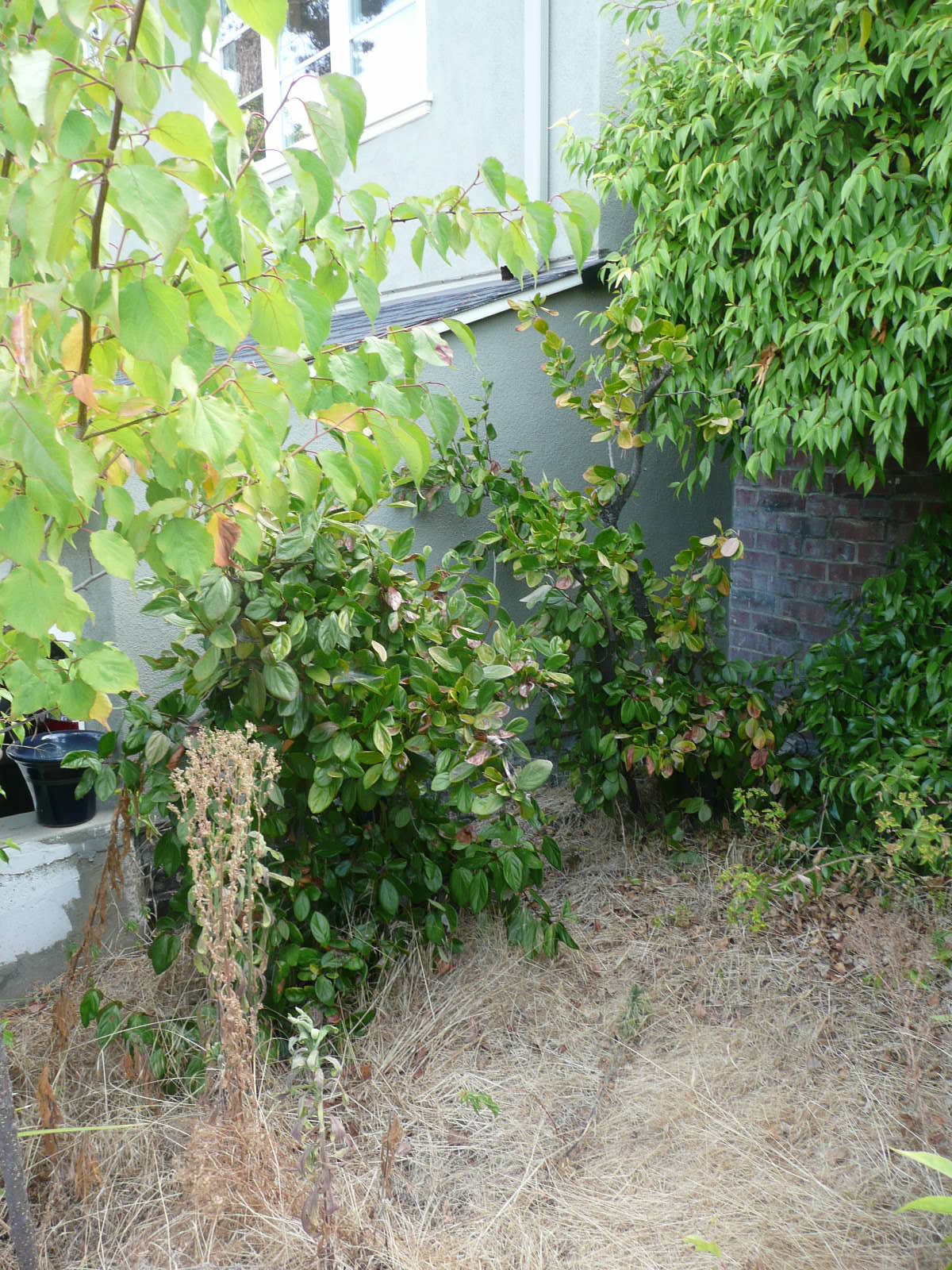 Before-front sitting area