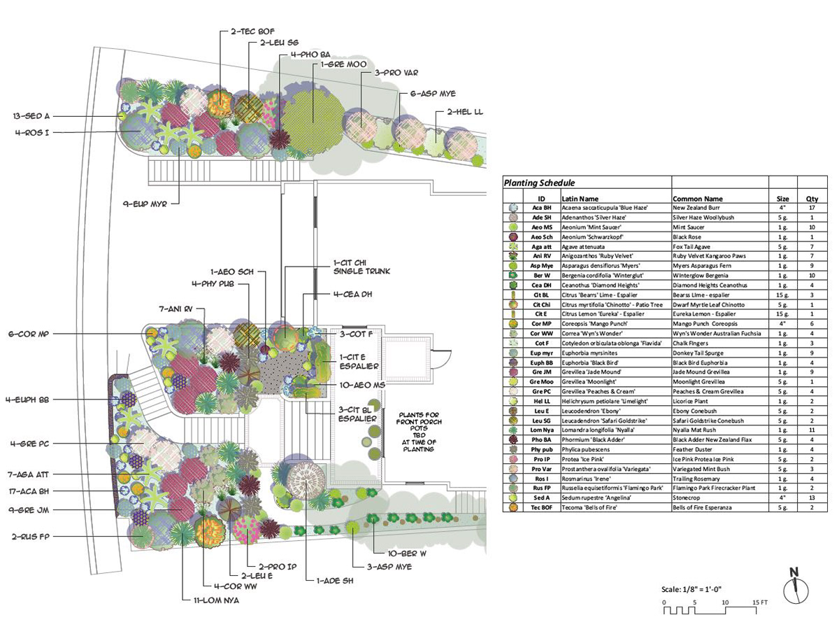 Front Planting Plan