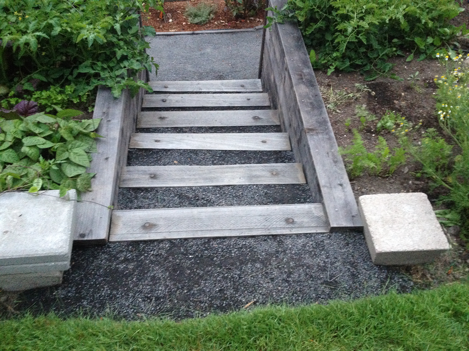 After - Non-toxic Eucalyptus Steps