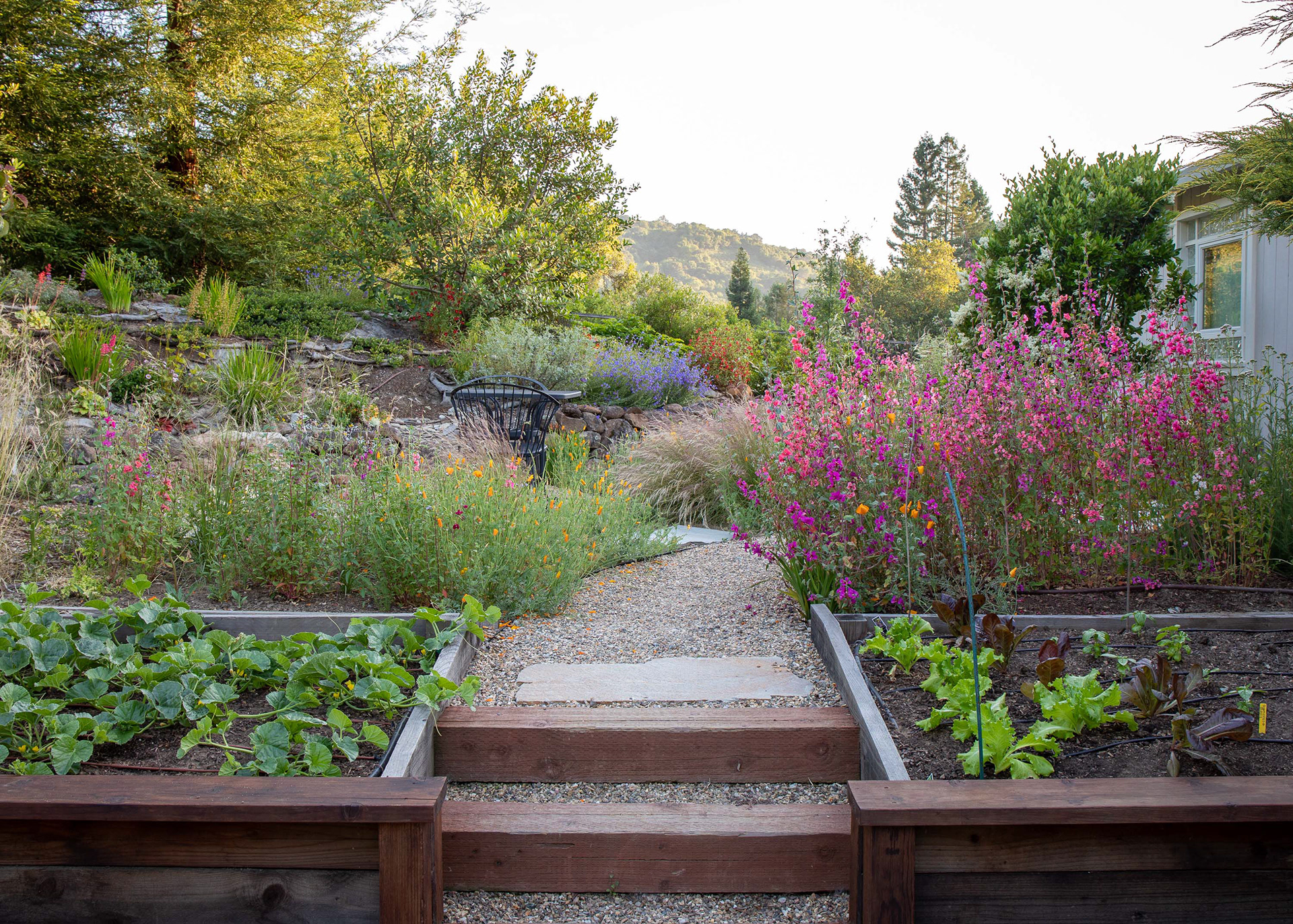 Foss Garden Design  Reka Foss - ECLECTIC - Urban Homestead