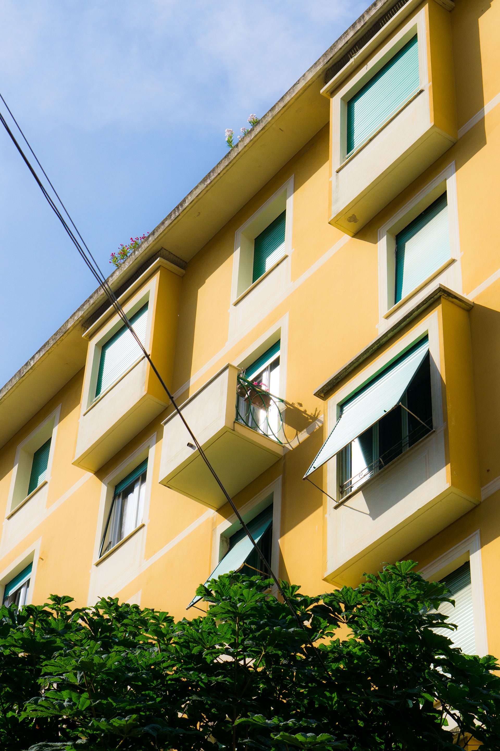 Genoa