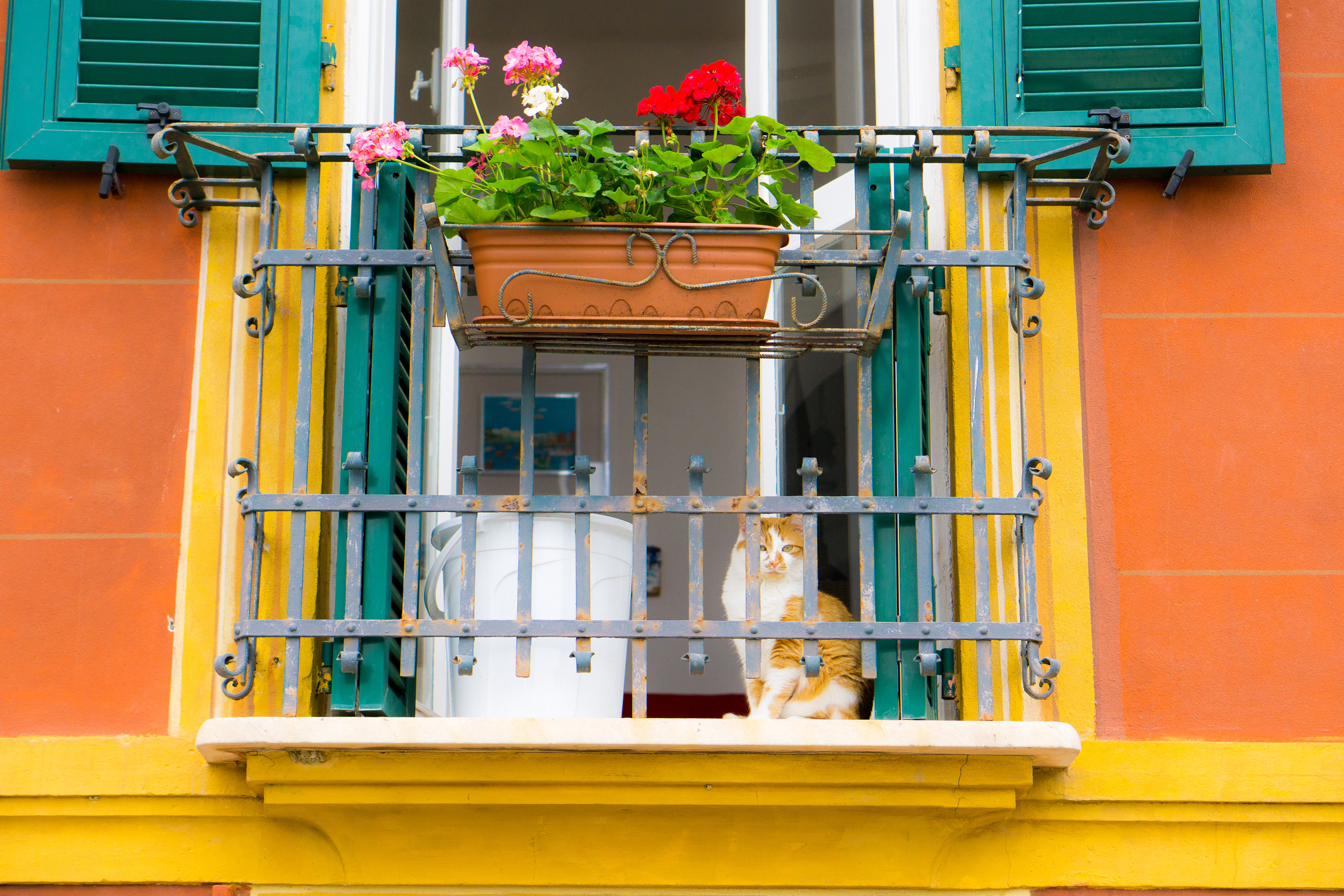 Genoa