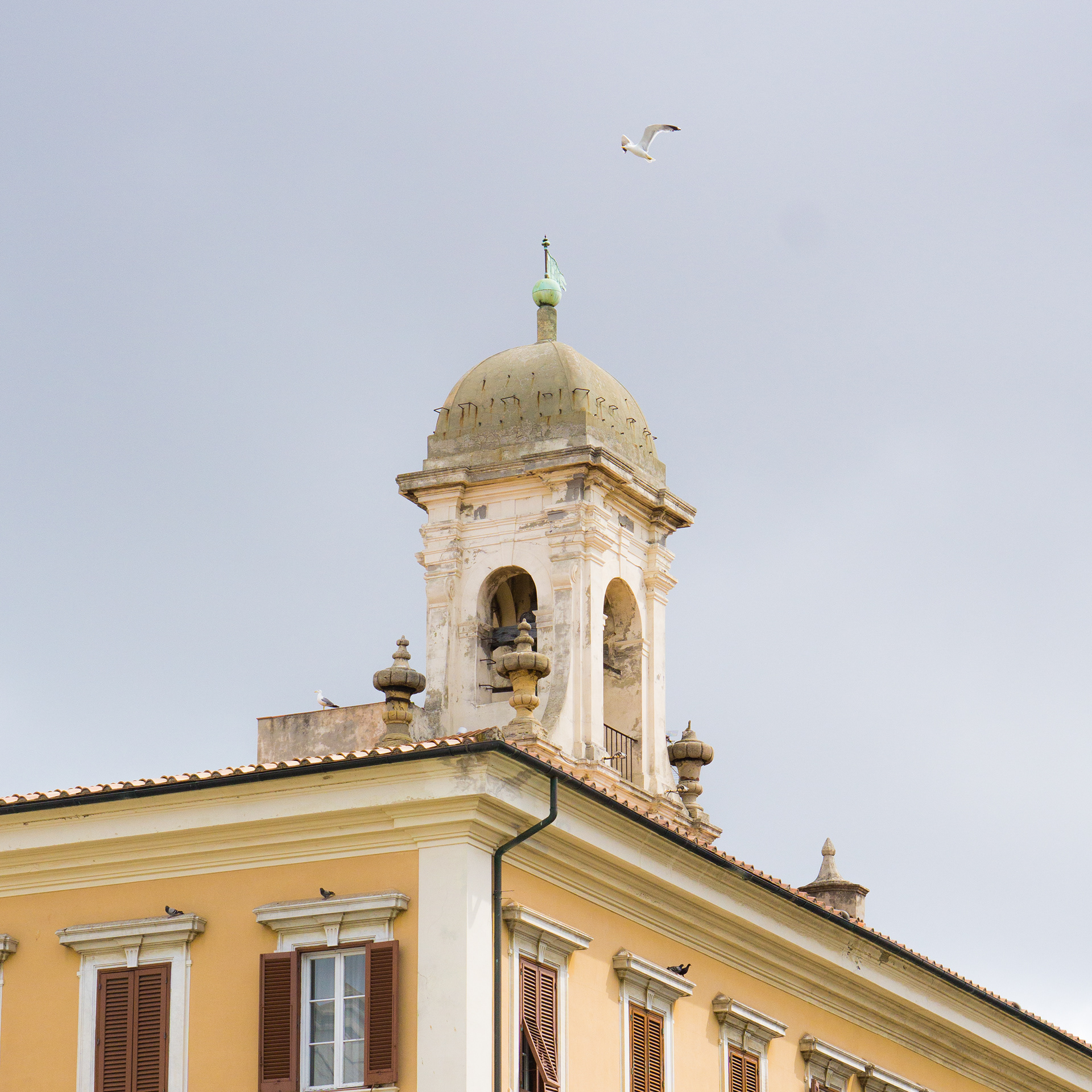 Genoa