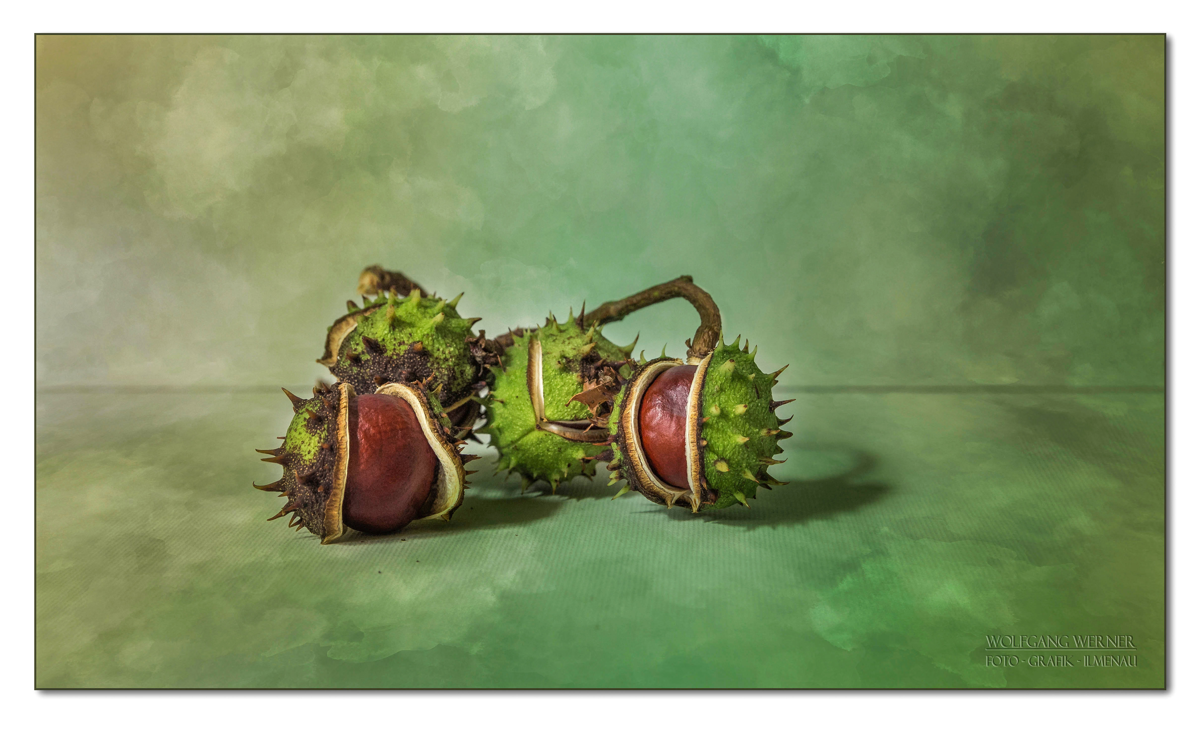 Kastanien auf farbigem Grund