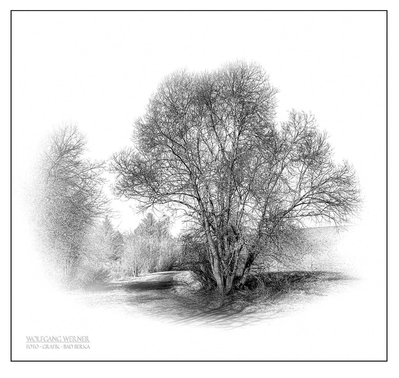 Baumgruppe unterhalb von Oberpörlitz