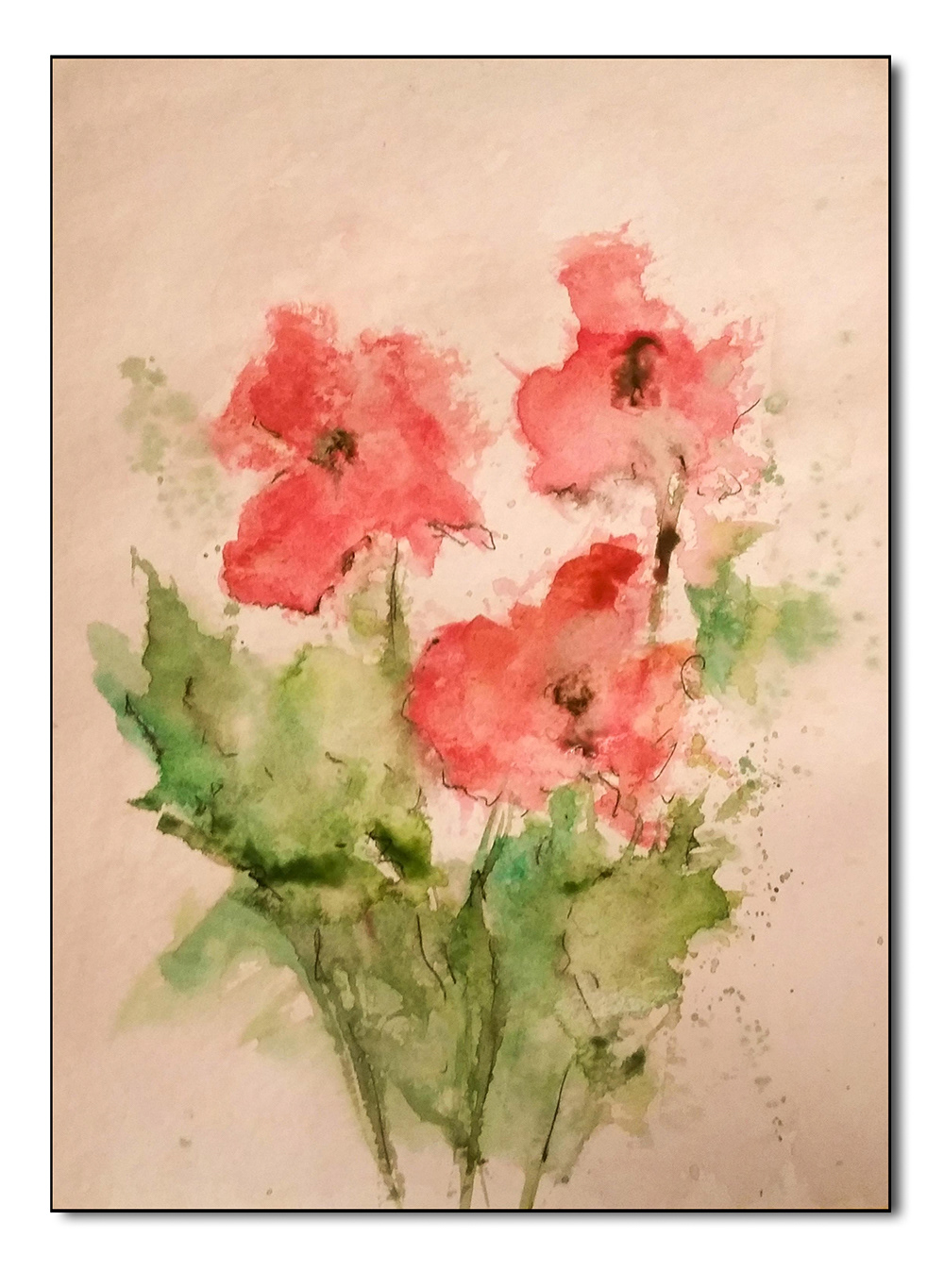 Mohnblüten, Aquarell