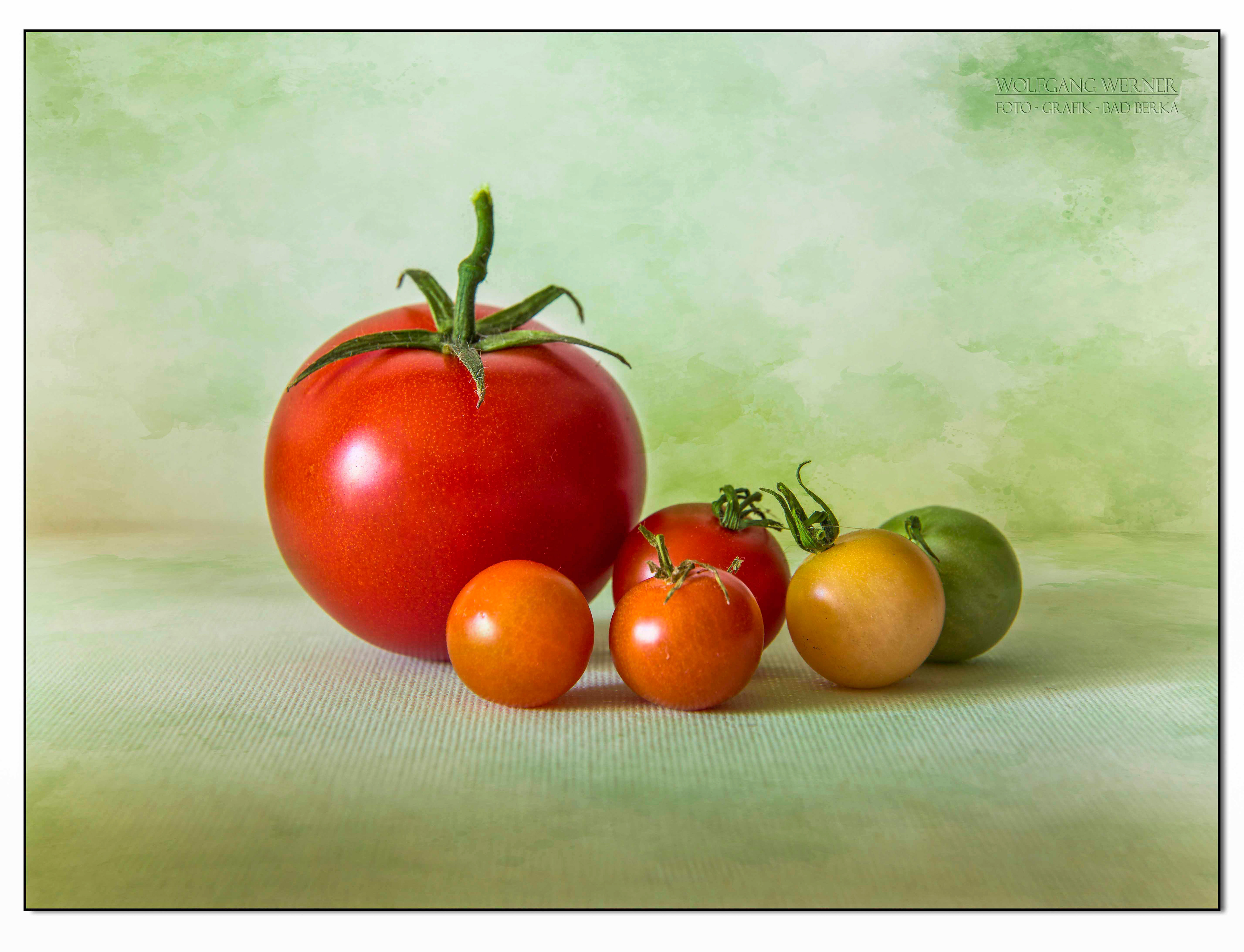 Tomaten auf farbigem Grund