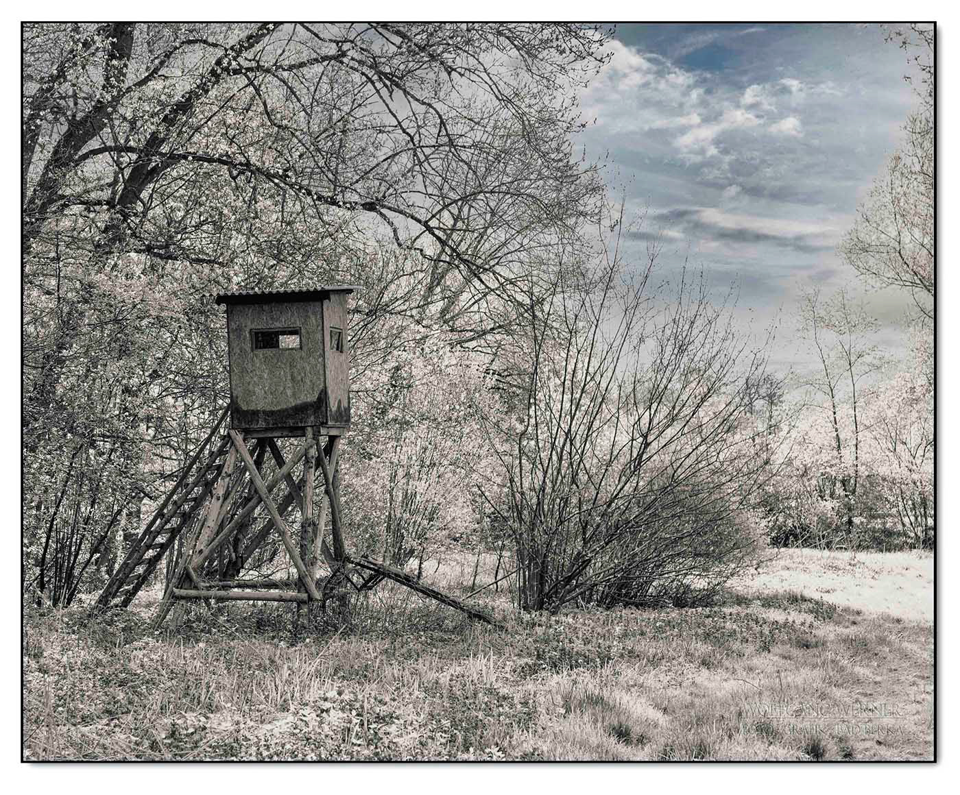Hochstand in der Schmalzgrube in Bad Berka