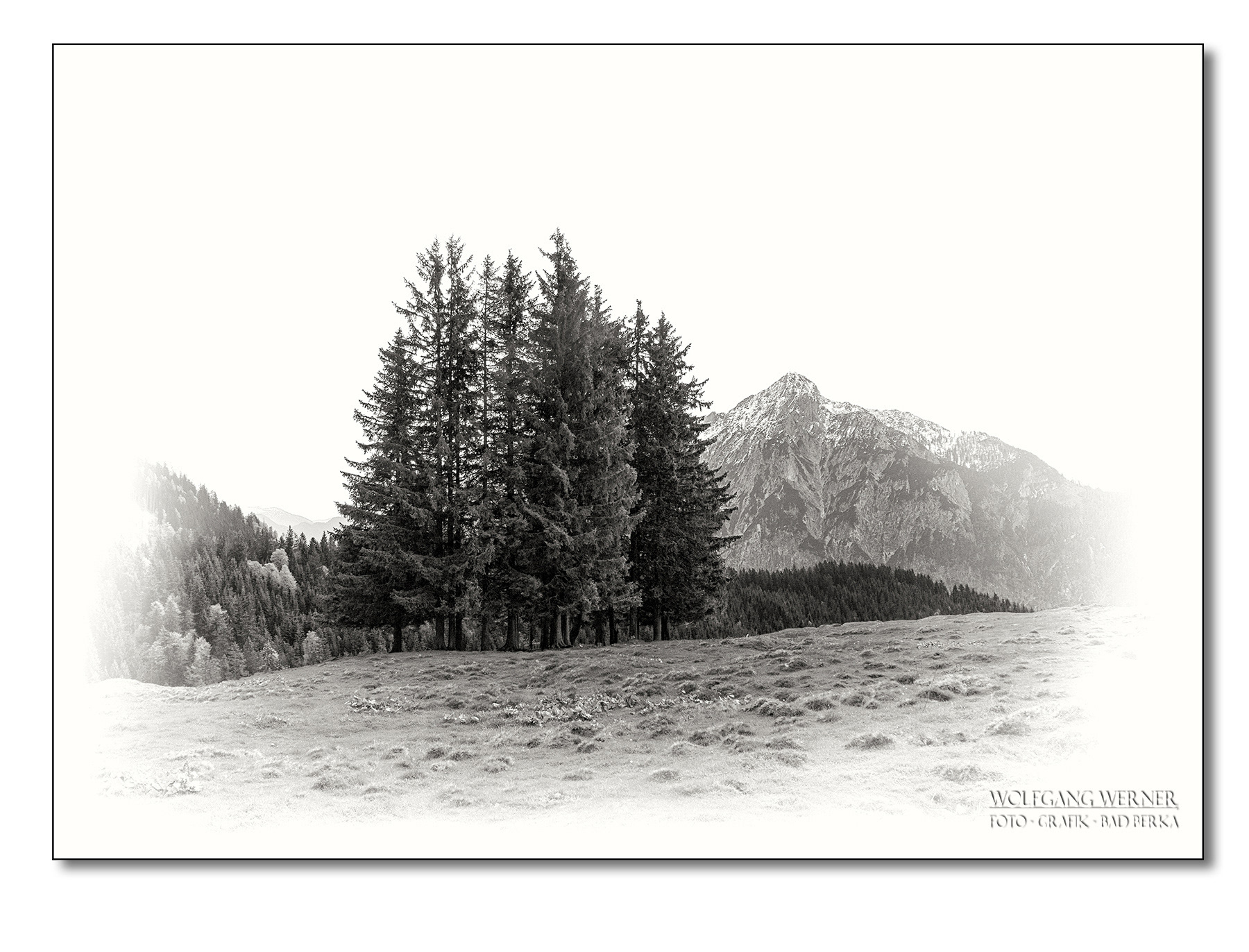 Baumgruppe im Hochgebirge (Postalm, Salzburger Land)