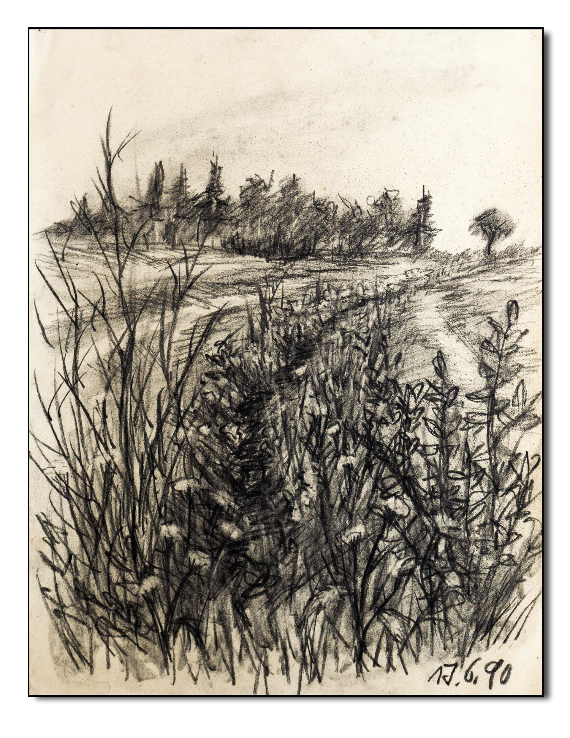 Feldrand, Kohlezeichnung