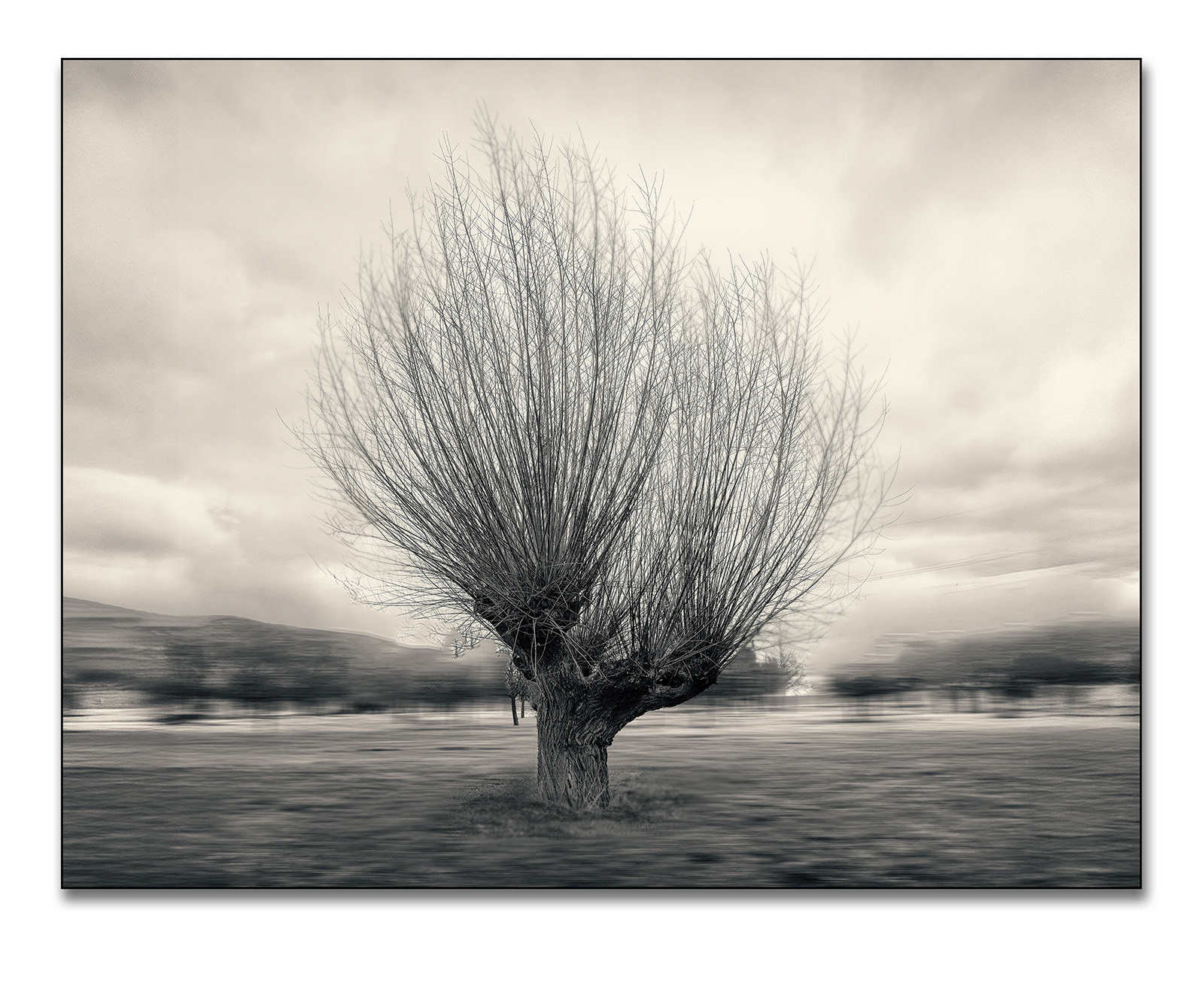 Kopfweide ( mit Adamski-Effekt)