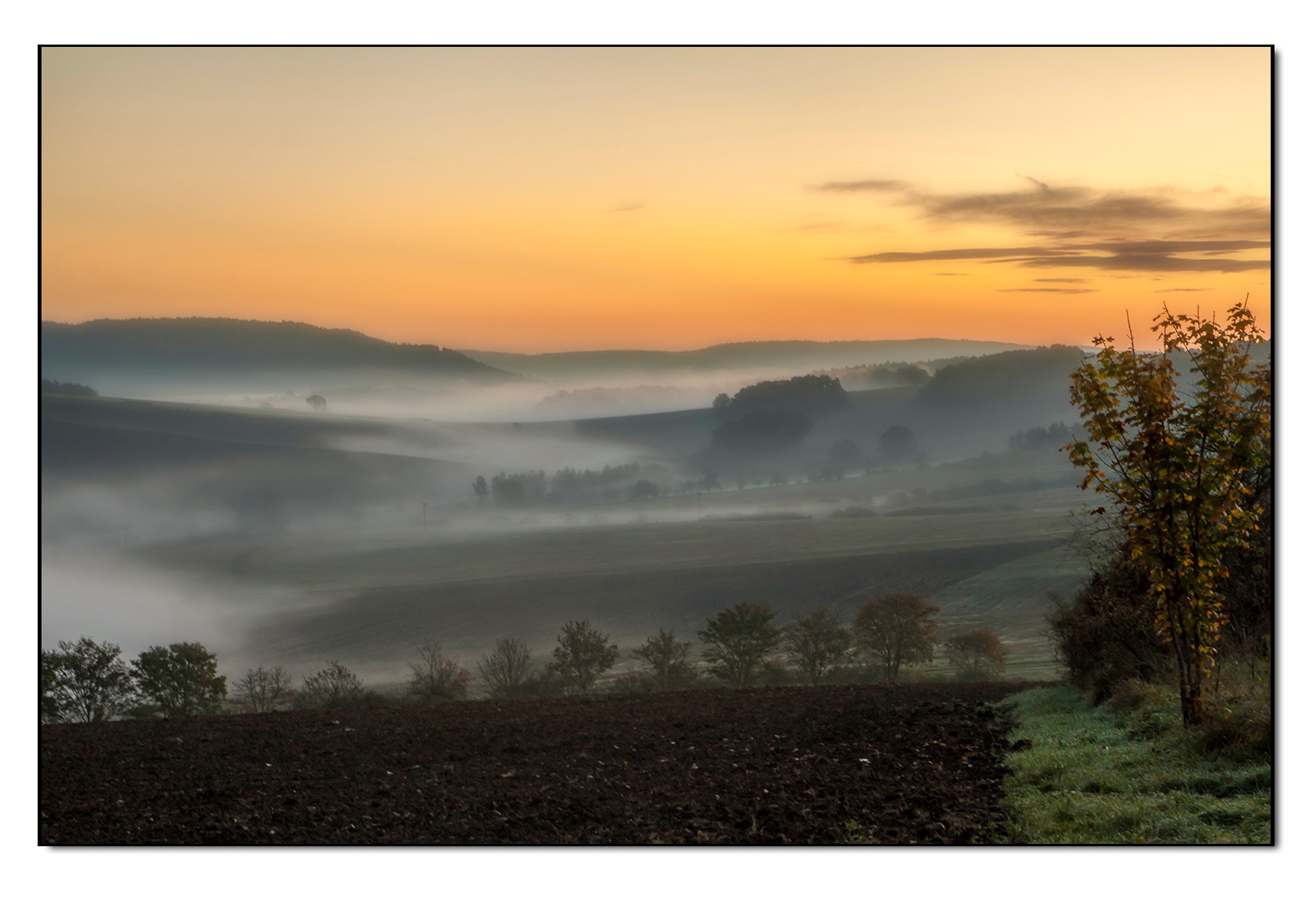 Morgennebel