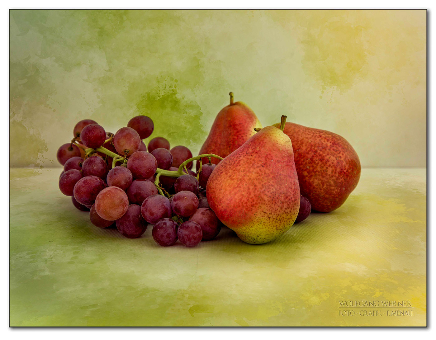 Weintrauben und Birnen auf farbigem Grund