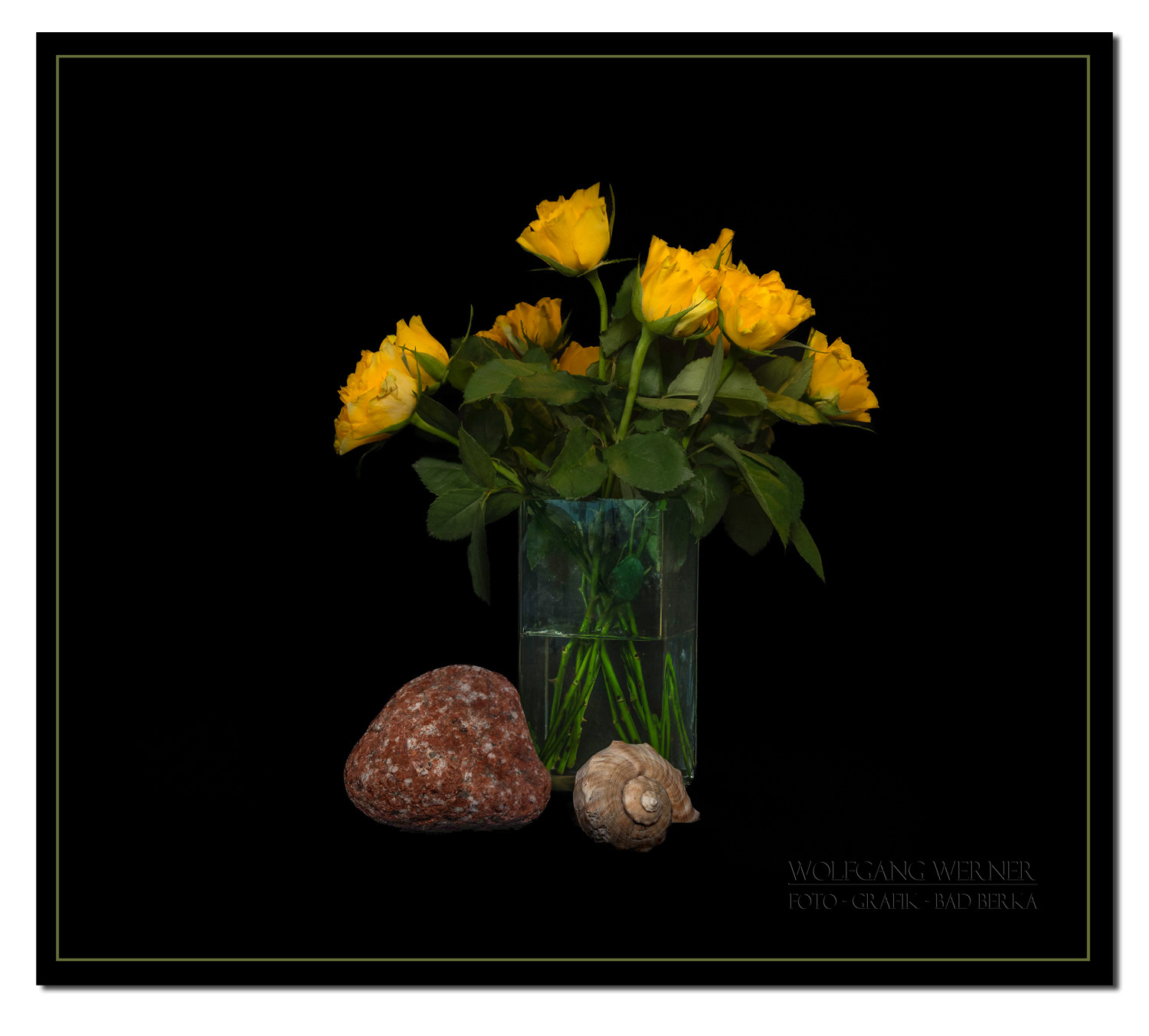 Rosenstrauß mit Stein und Meeresschnecke auf schwarzem Grund