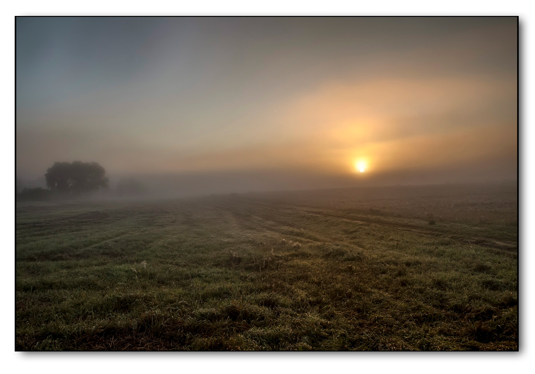 Sonnenaufgang im Morgennebel