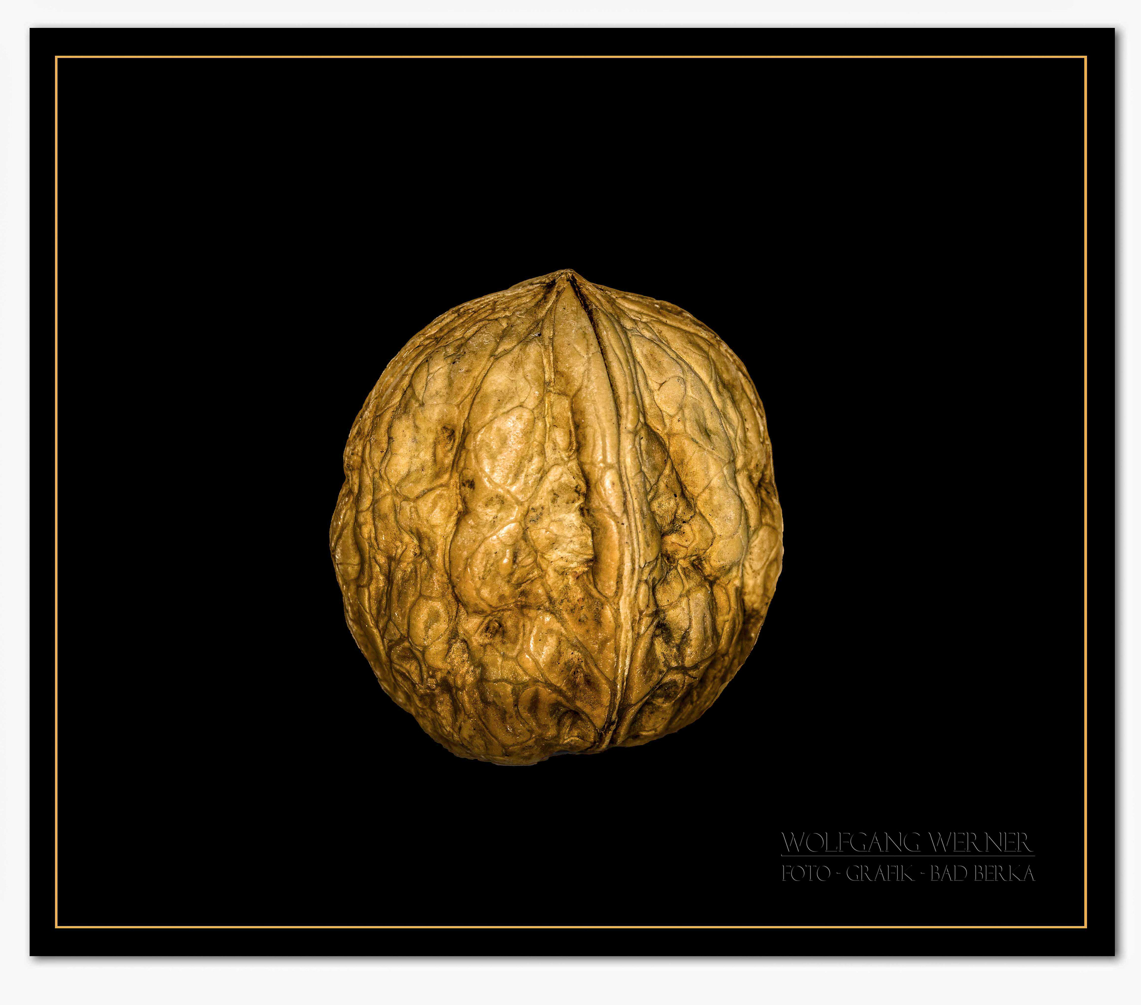 Walnuss auf schwarzem Grund