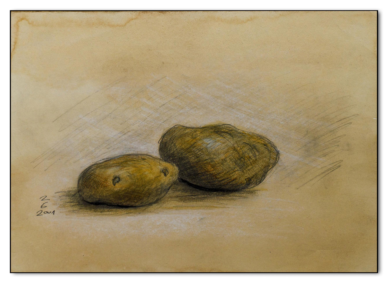 Kartoffeln, Graphit Farbstift auf mit Kaffee getöntem Papier