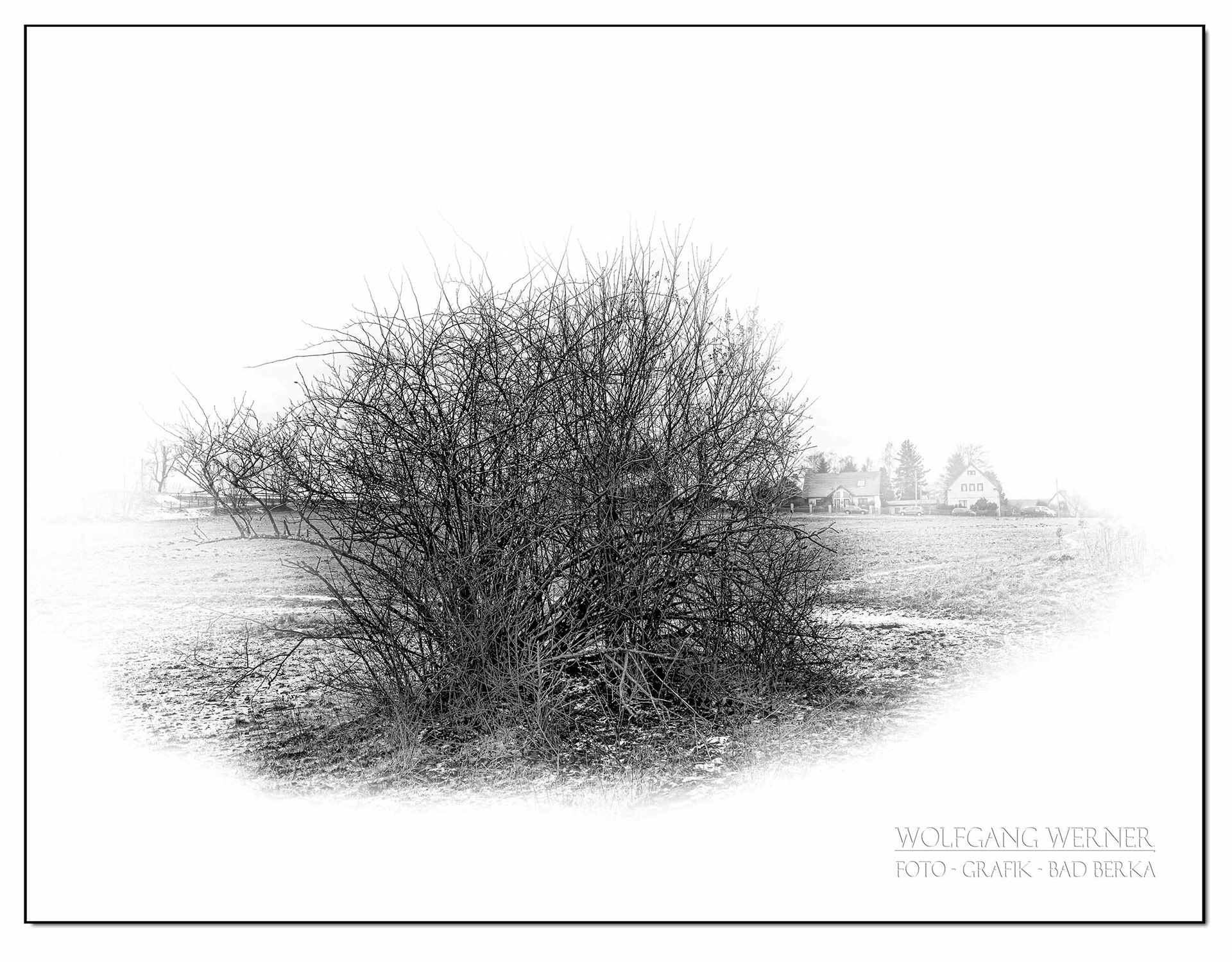 Buschgruppe vor Unterpörlitz