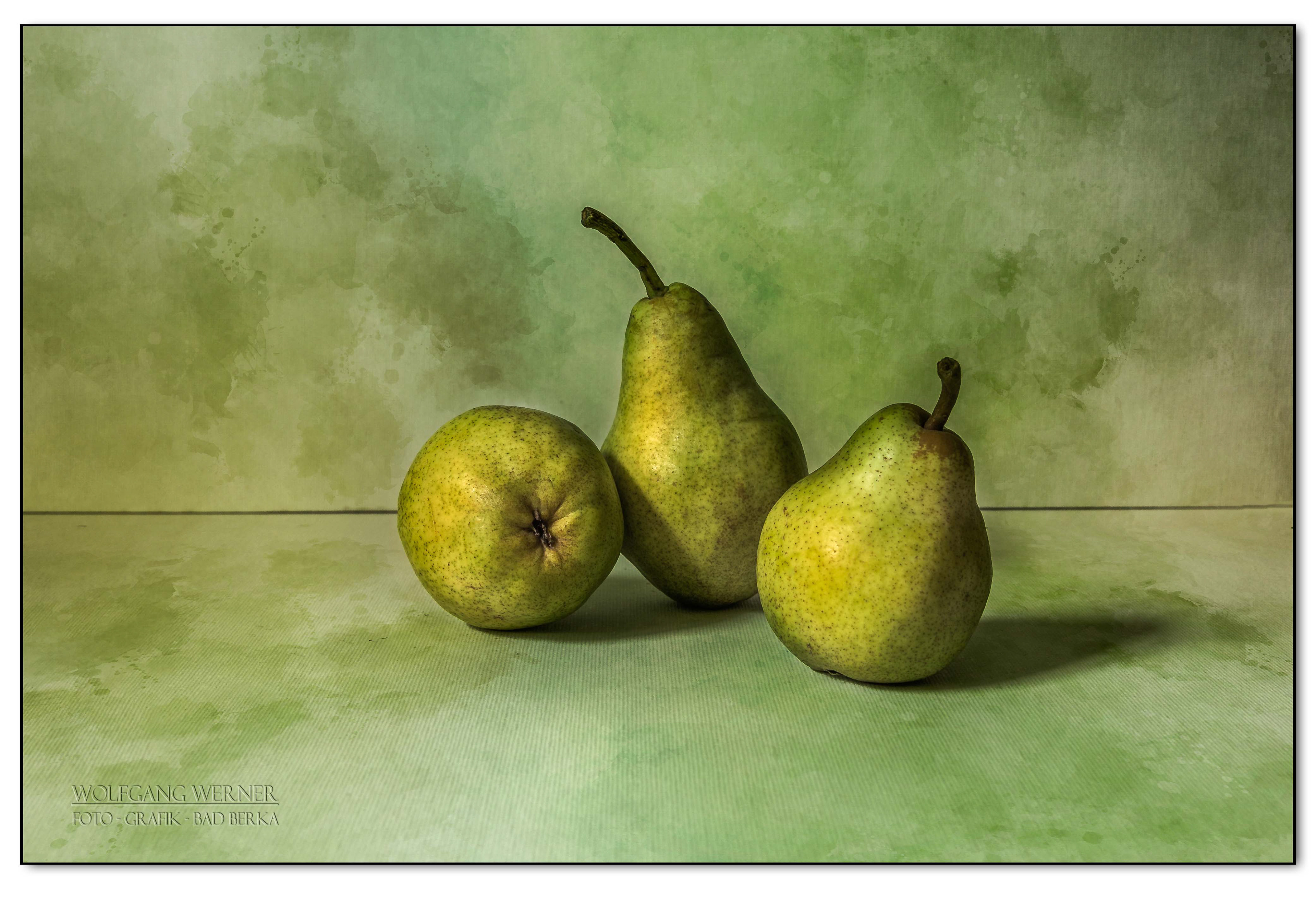 Birnen auf farbigem Grund