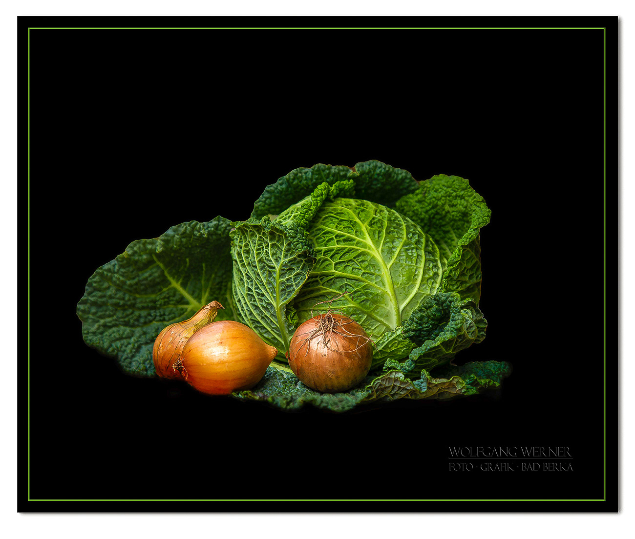 Wirsing und Zwiebeln auf schwarzem Grund
