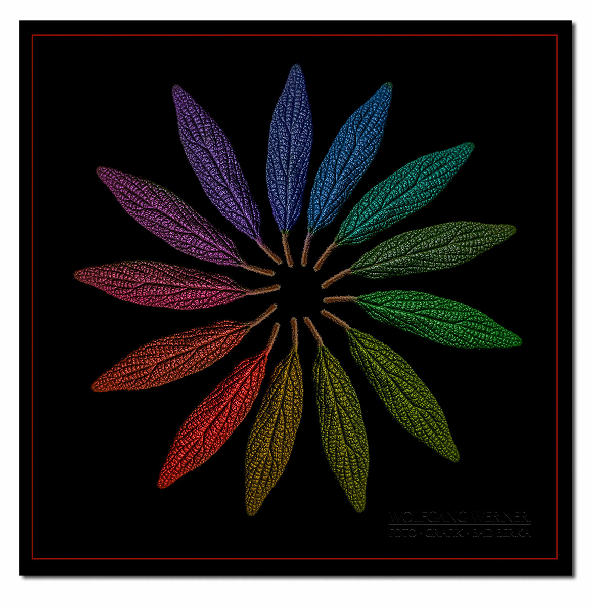 Farbiger Blätterreigen auf schwarzem Grund