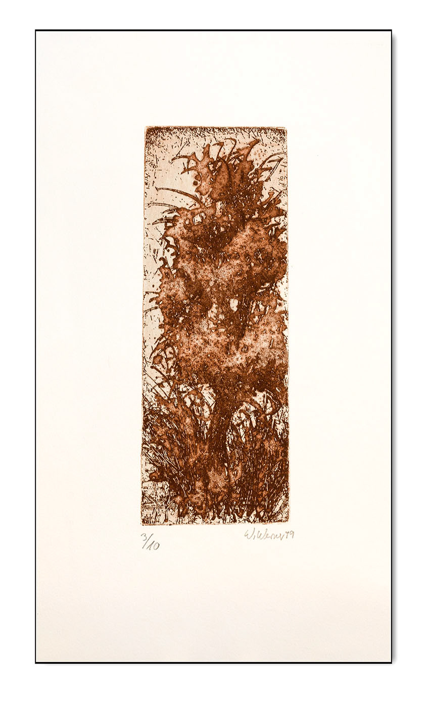 Baum nach H. Janssen, Radierung