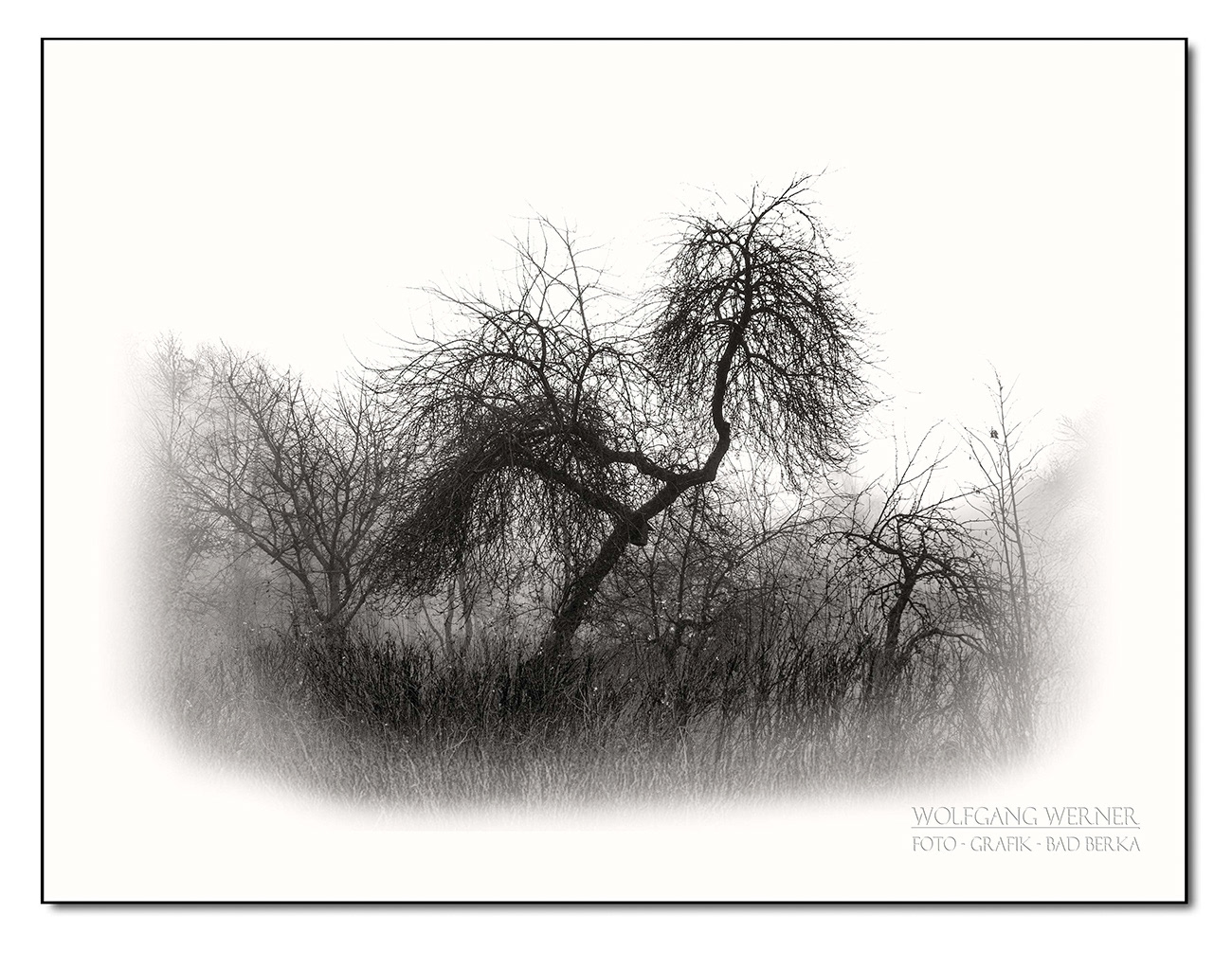 Buschgruppe an der Ilm bei Bad Berka