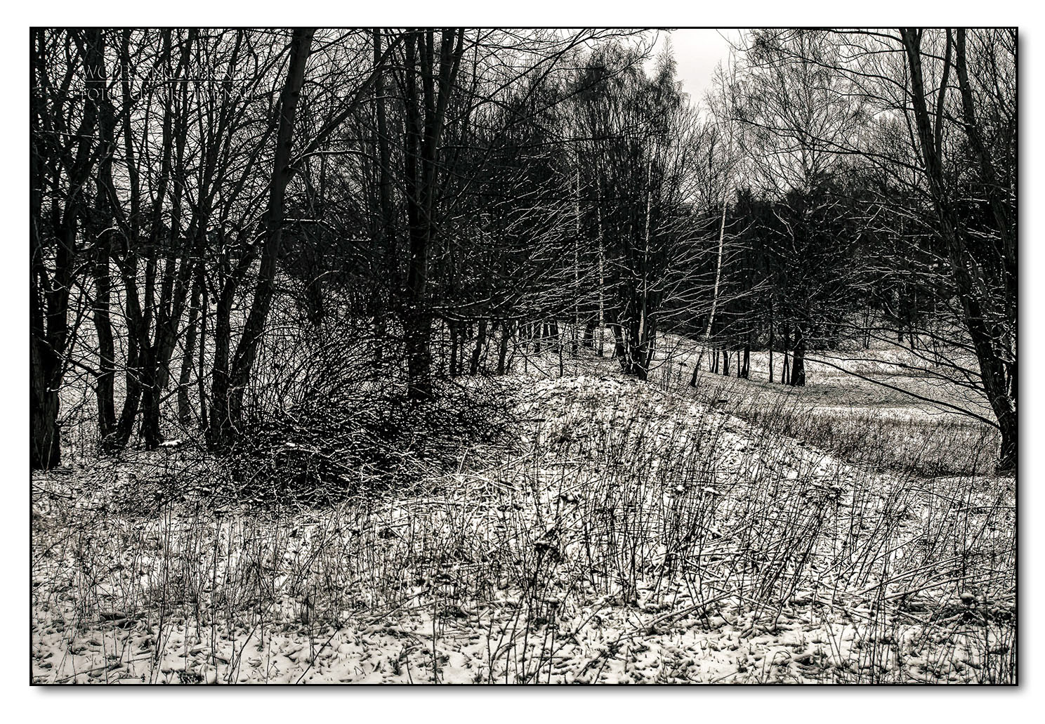 Winterimpression im grafischen Look