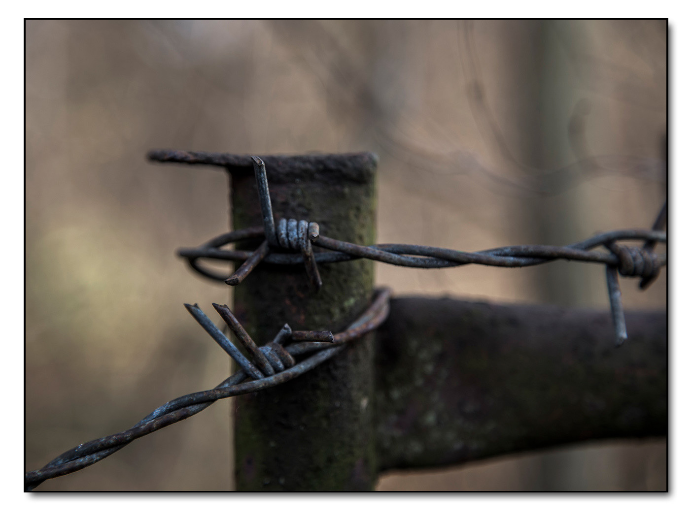 Zaunspfeiler mit Stacheldraht