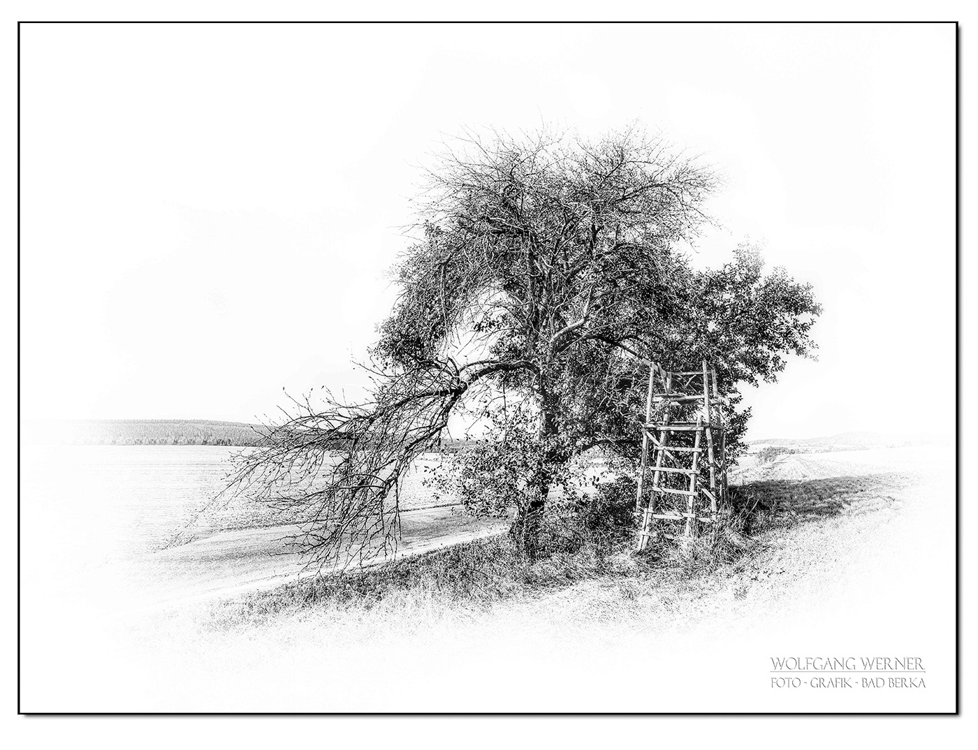 Baum mit Hochstand bei Tonndorf