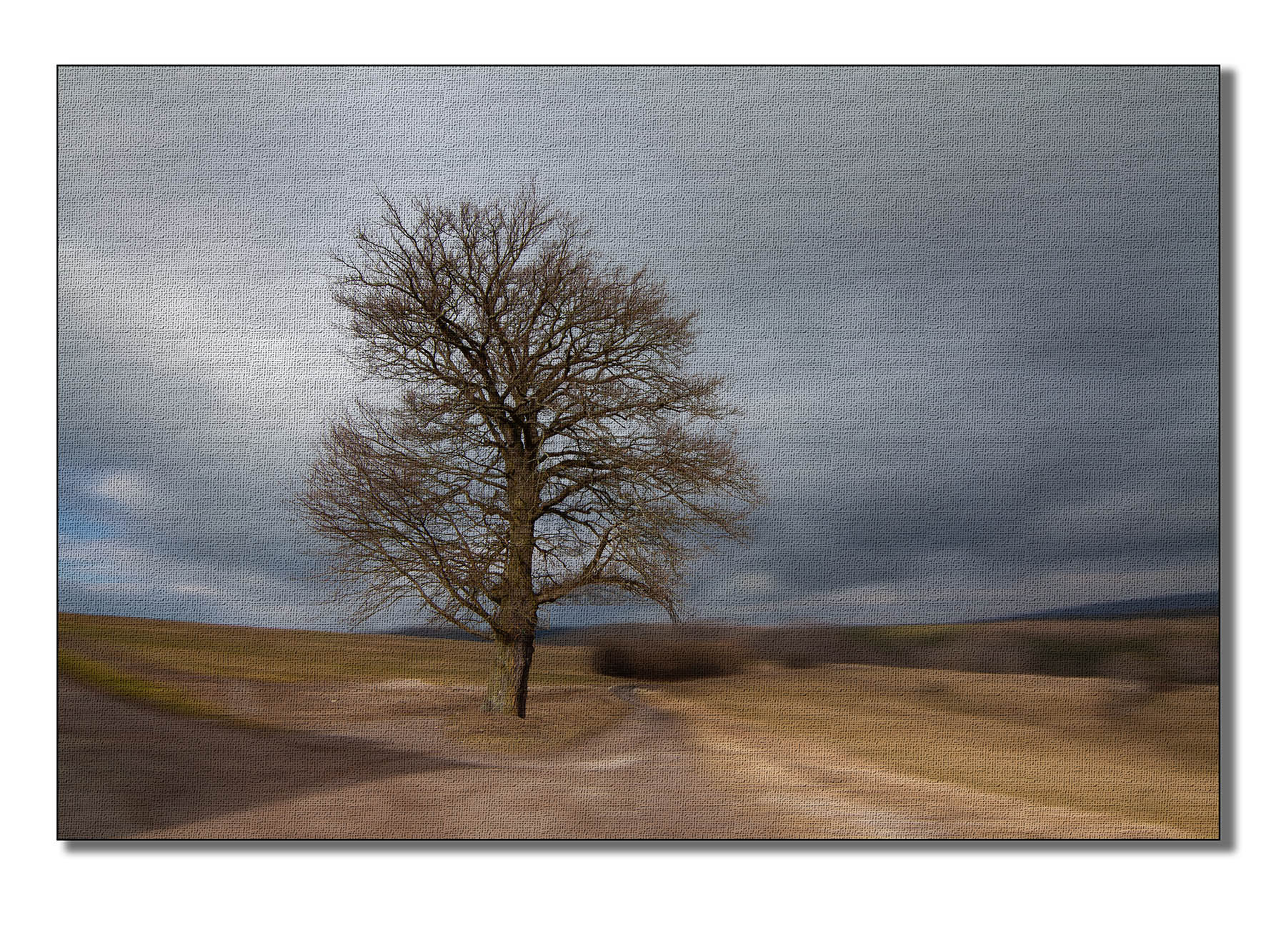 Alte Eiche - Adamski Efekt mit Leinwandtextur