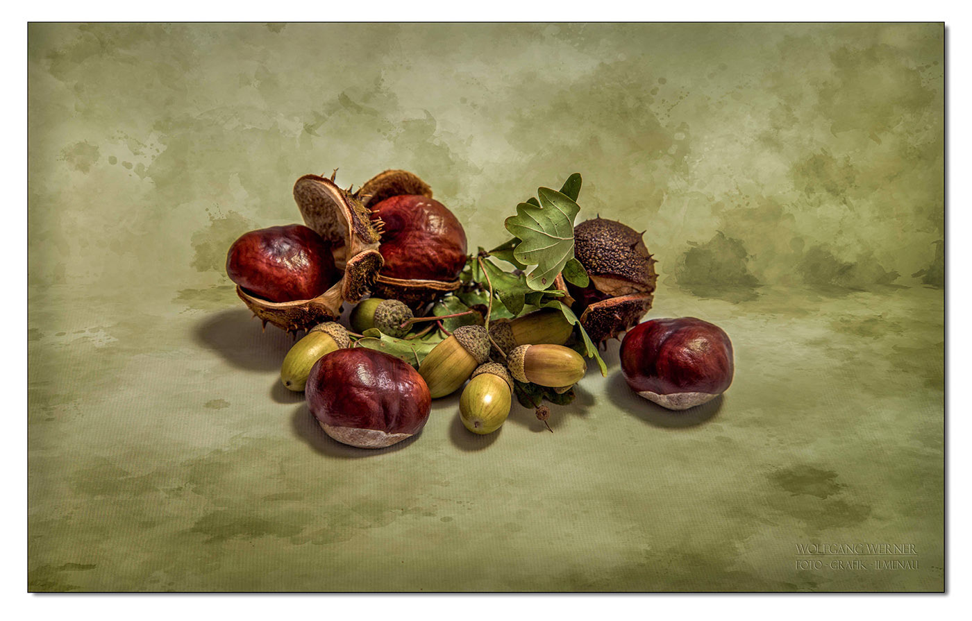 Kastanien und Eicheln auf farbigem Grund