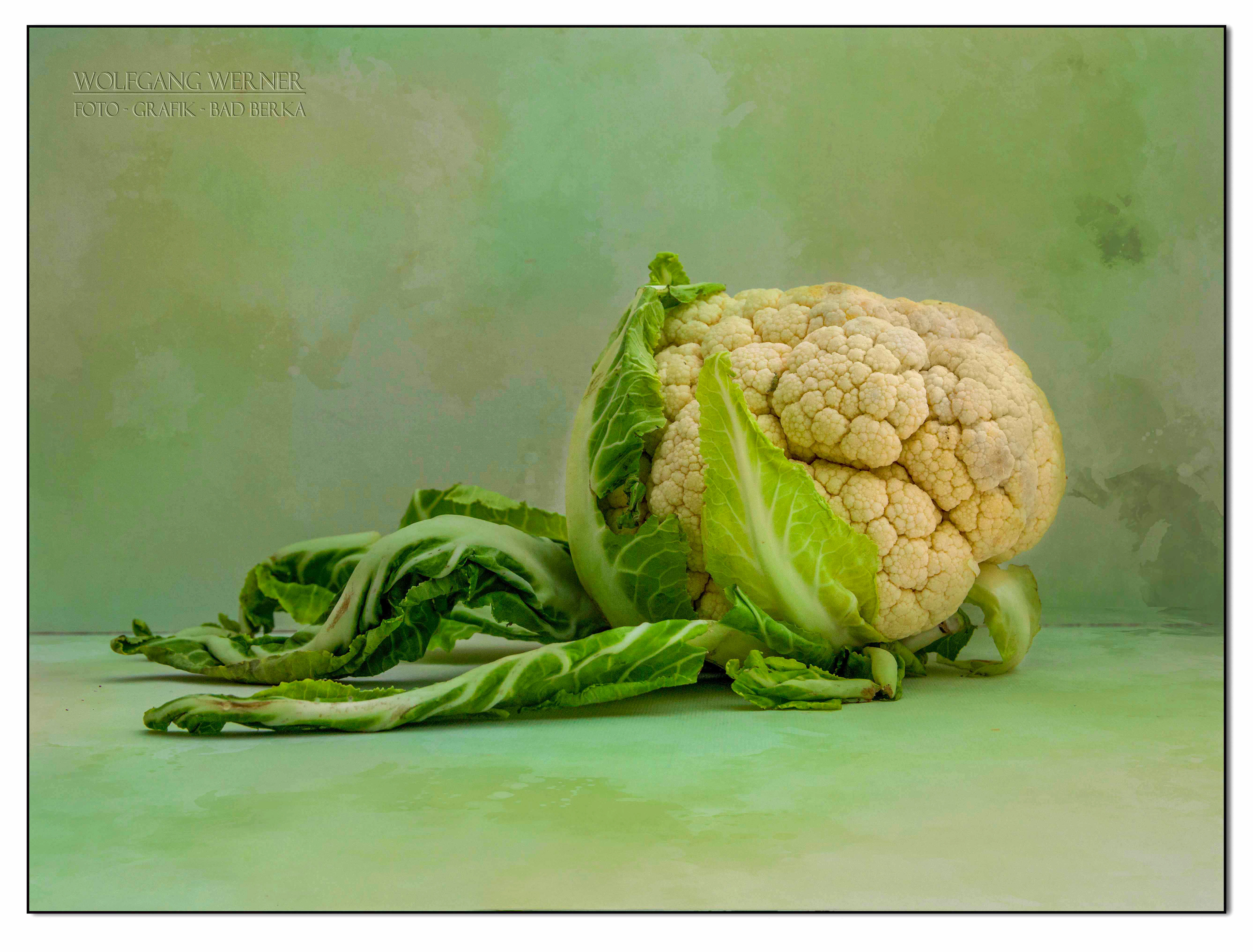 Blumenkohl auf farbigem Grund 