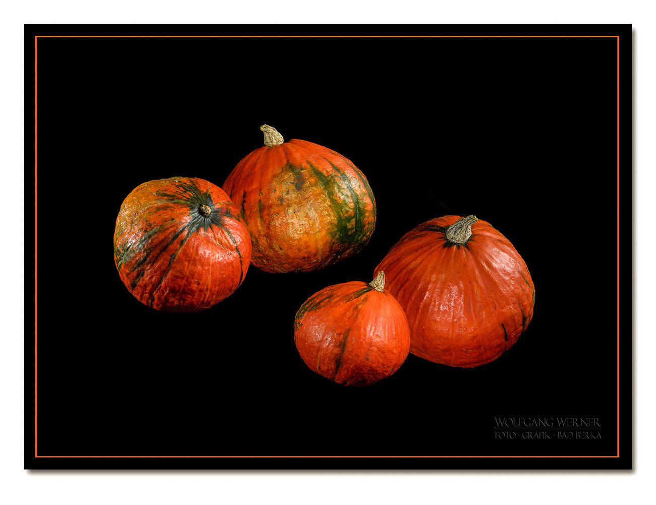 Kürbisse auf schwarzem Grund