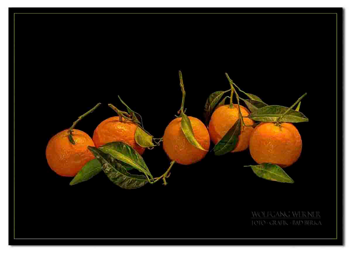 Mandarinen auf schwarzem Grund