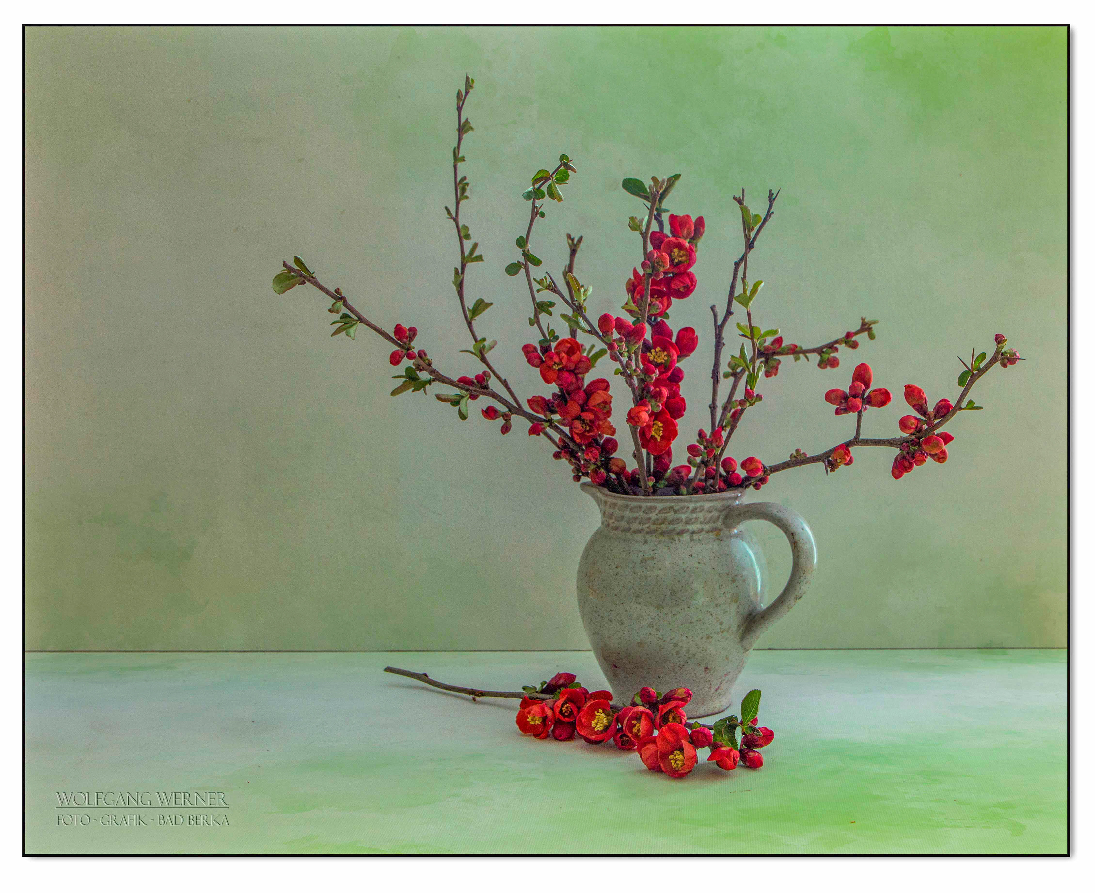 Frühlingsstillleben auf farbigem Grund