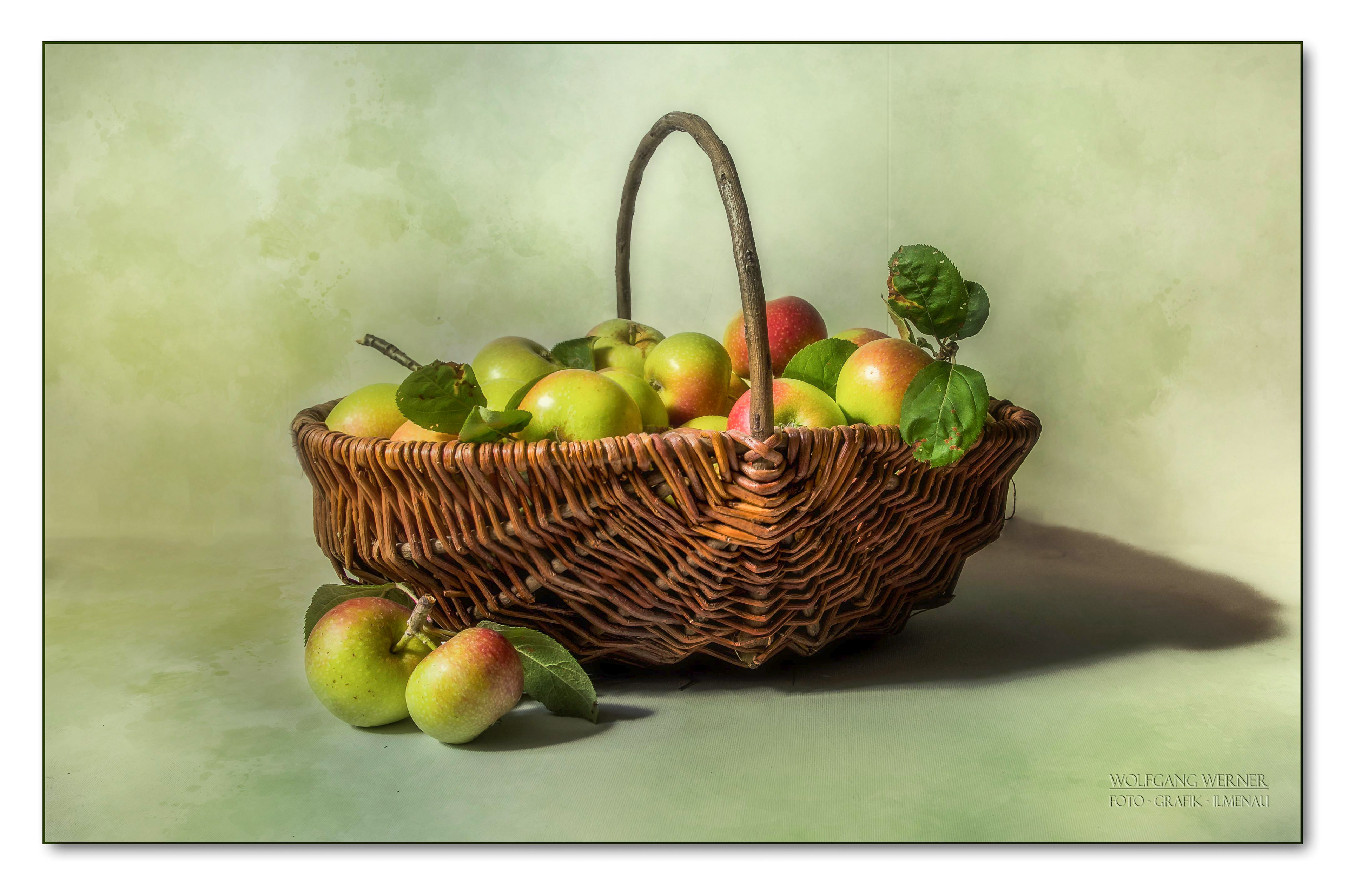 Obstkorb auf farbigem Grund