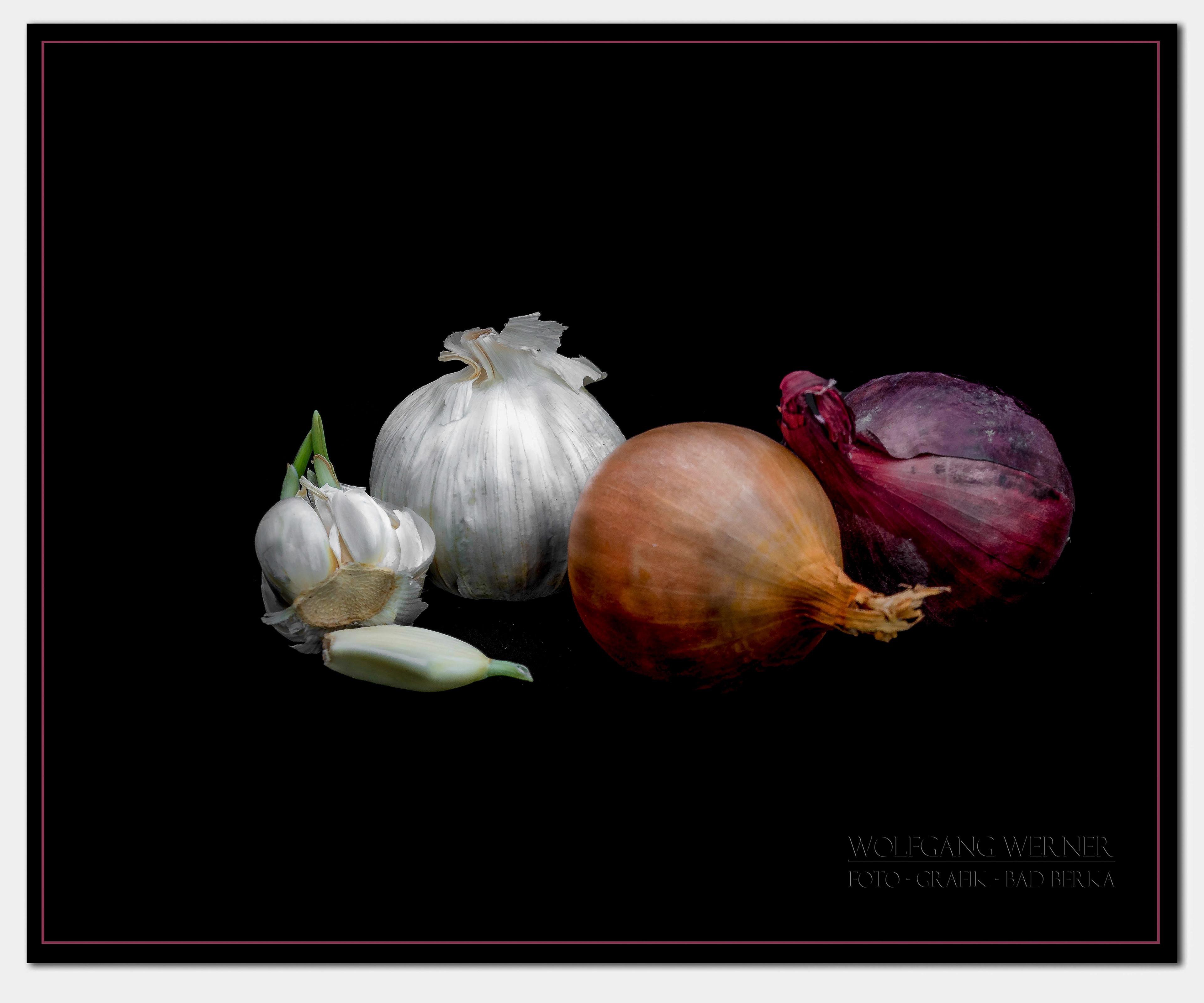 Knoblauch und Zwiebeln auf schwarzem Grund