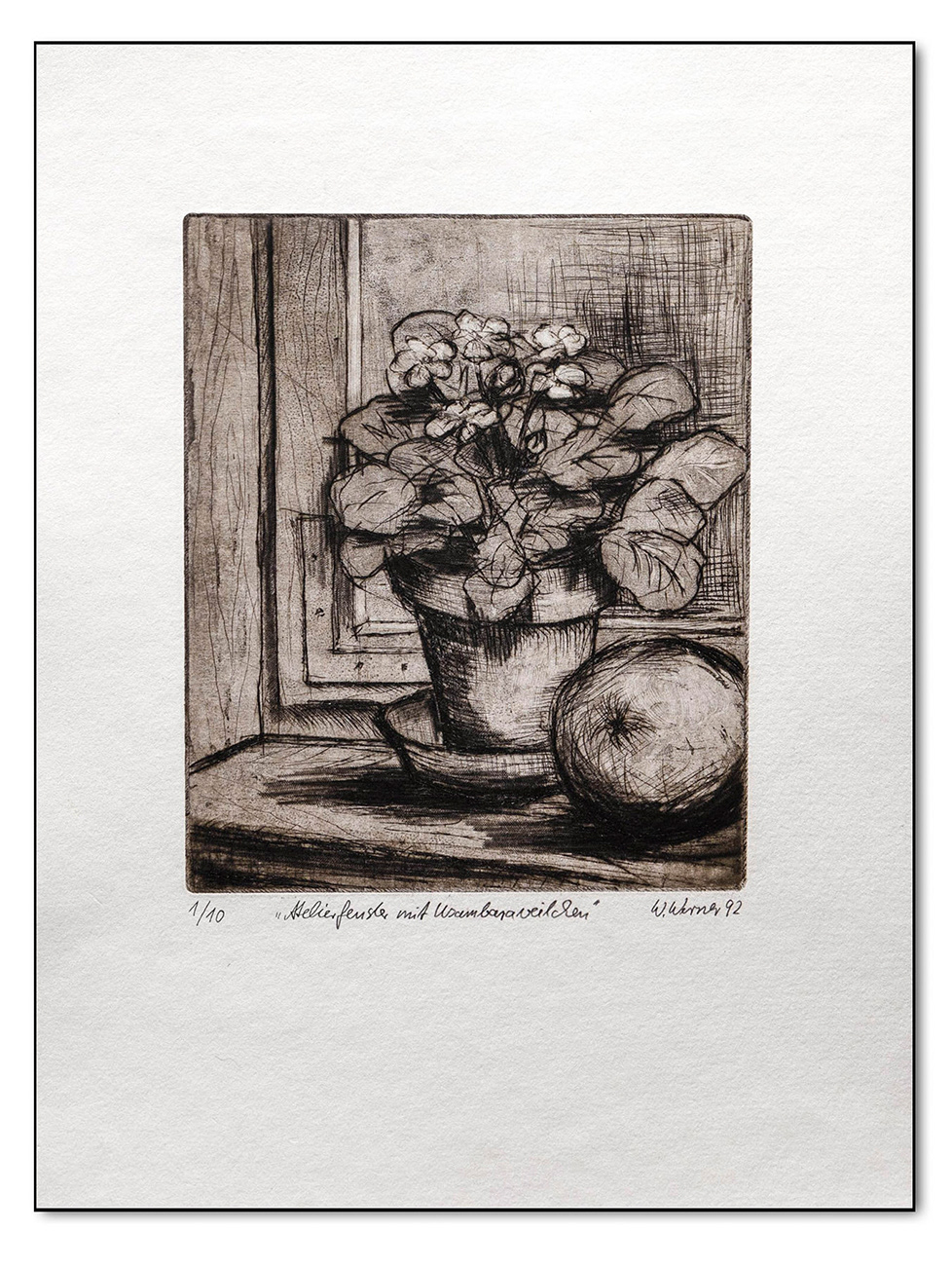 Usambareveilchen, Radierung