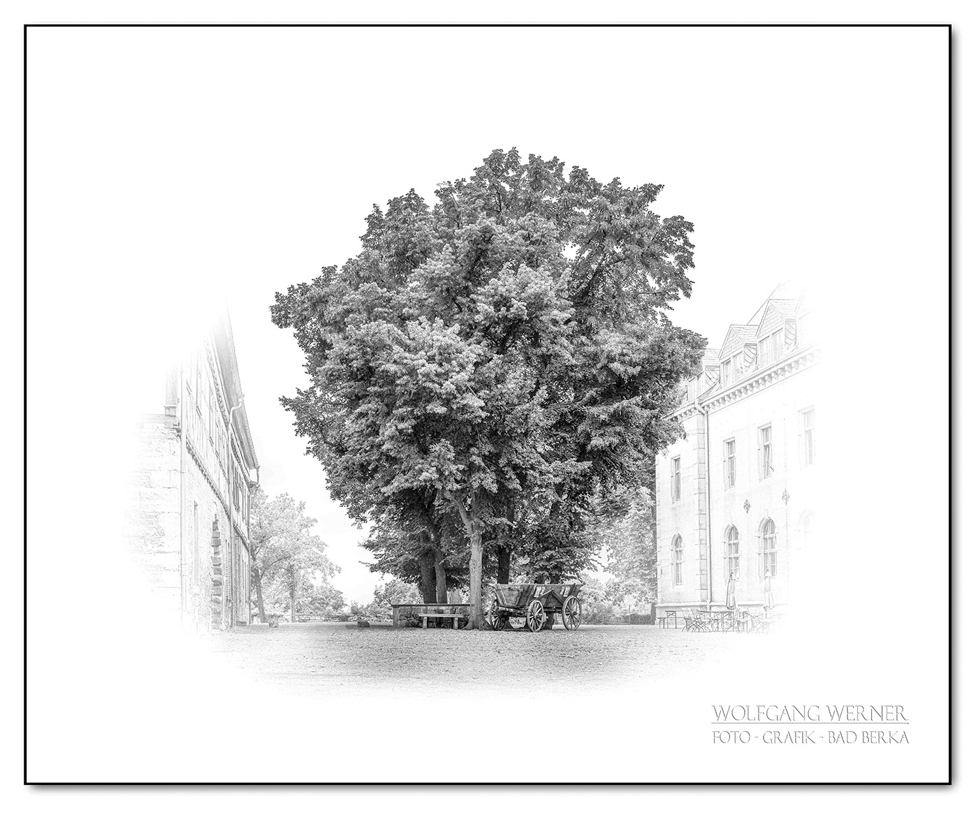 Baumgruppe im Innenhof der Runneburg/Weißensee